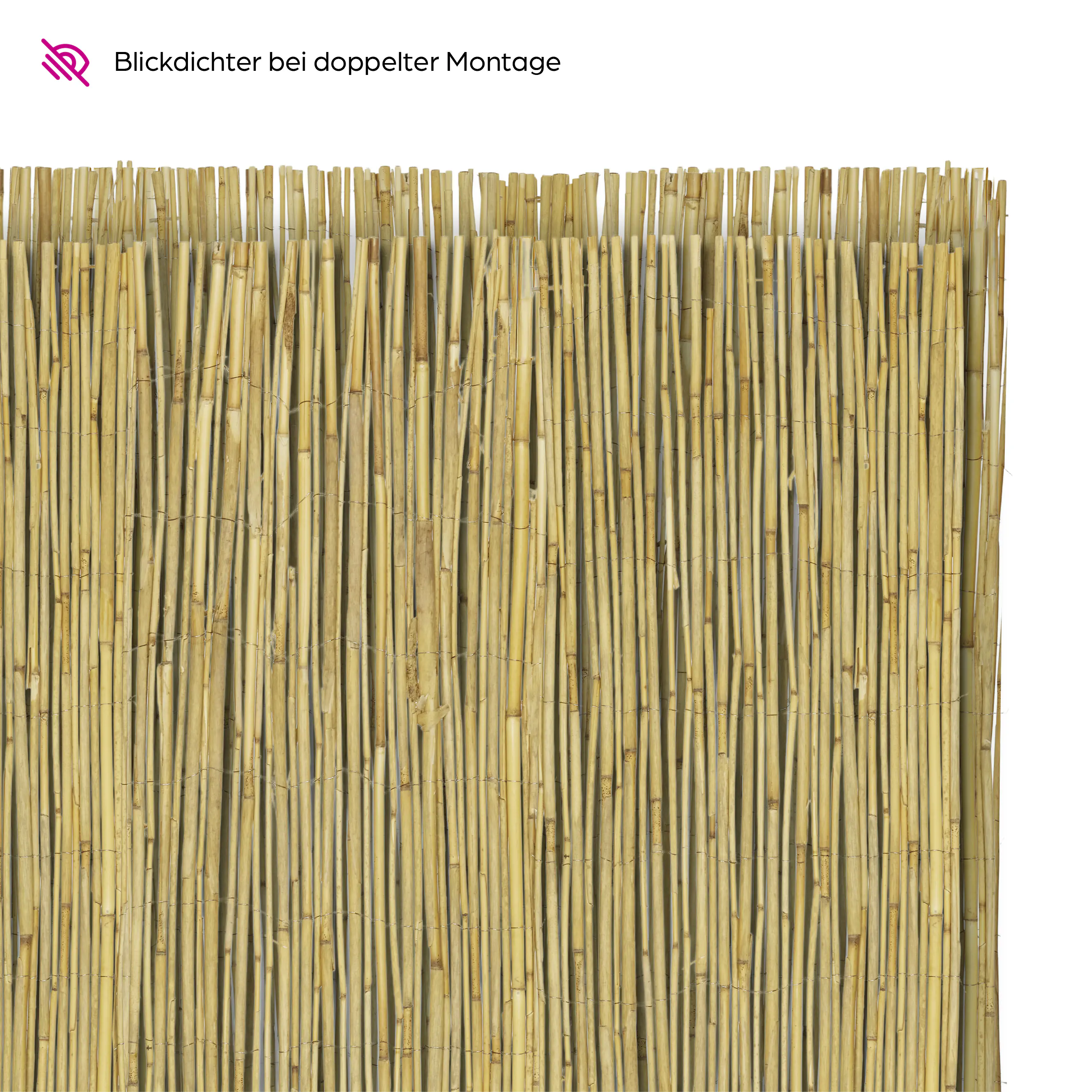 Schilfrohrmatte 1,6 x 6 m