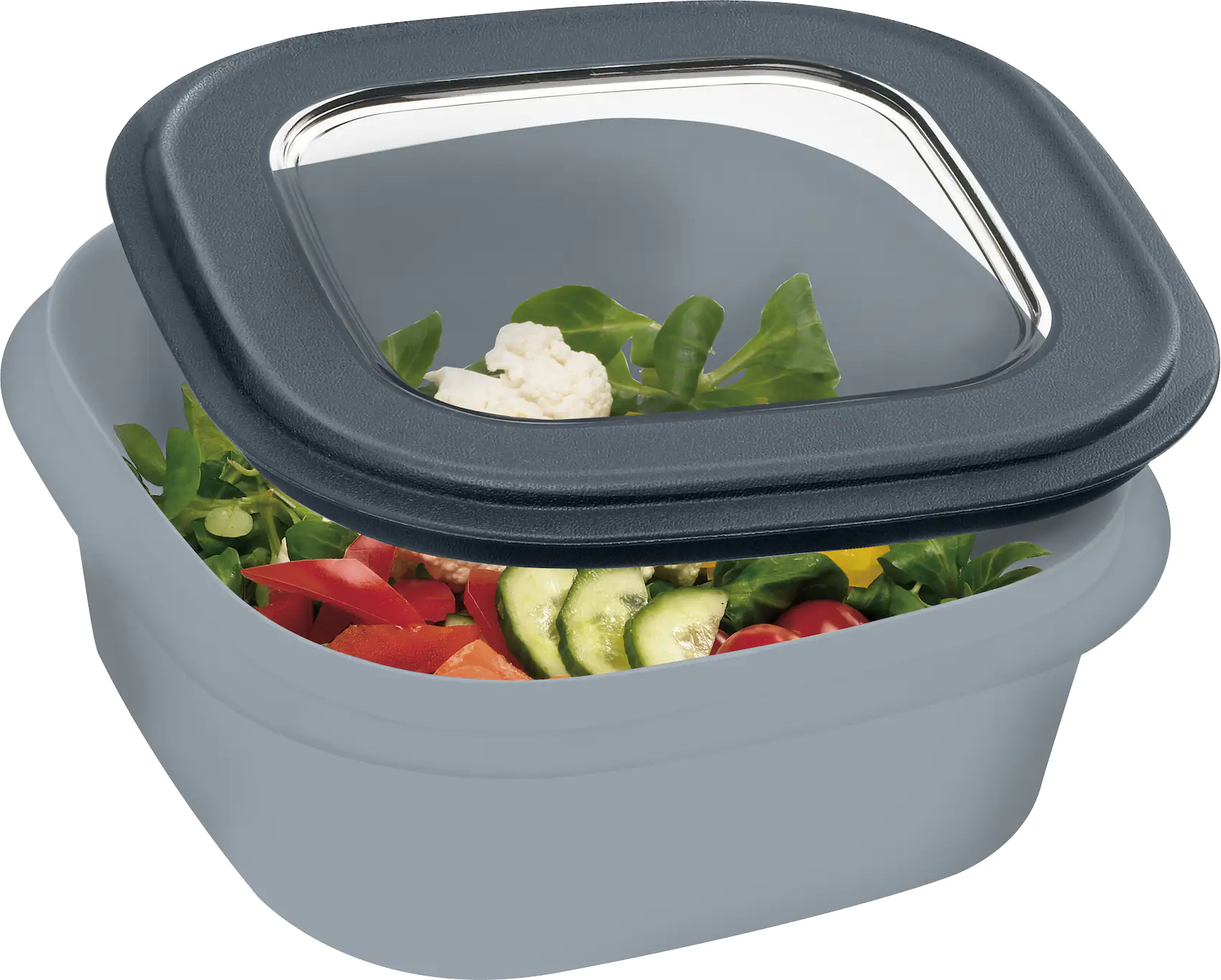 Sunware Frischhaltedose Sigma Home 1,3 L blaugrau