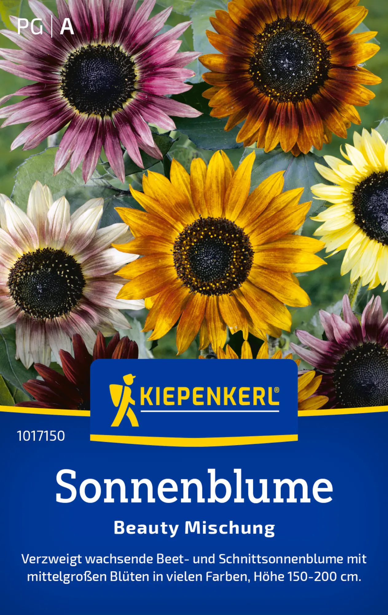 Kiepenkerl Saatgut Sonnenblume Beauty Mix für ca. 1-2 m²
