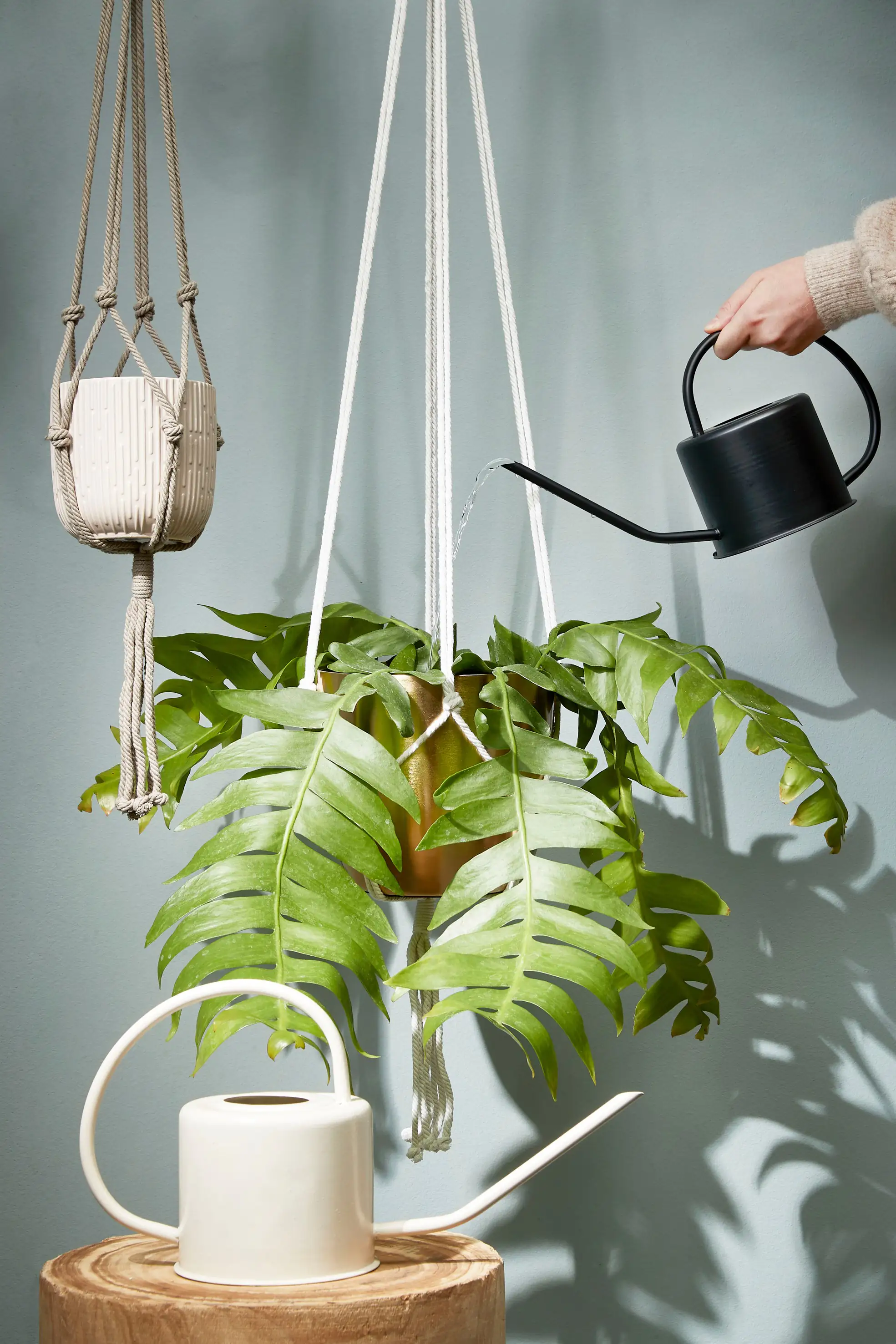 Mica Gießkanne Ancho Eisen schwarz