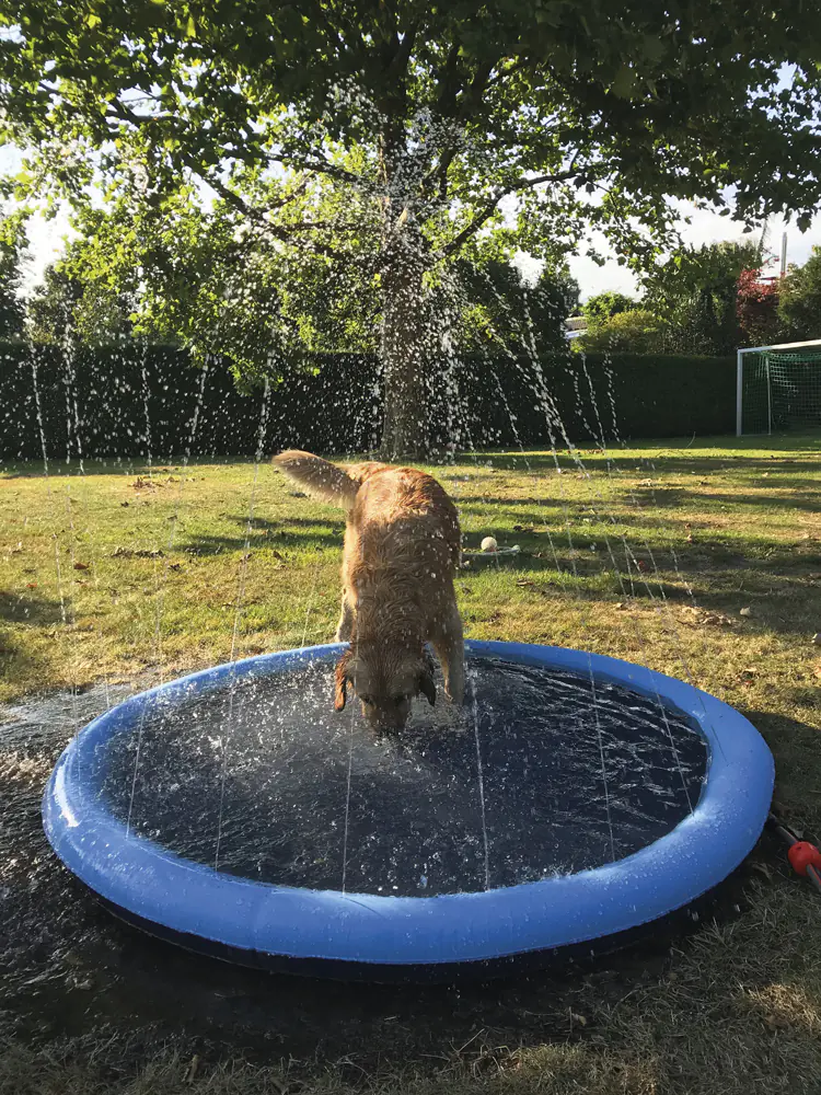 Nobby Hundepool Splash Pool Nobby Hundepool Splash Pool