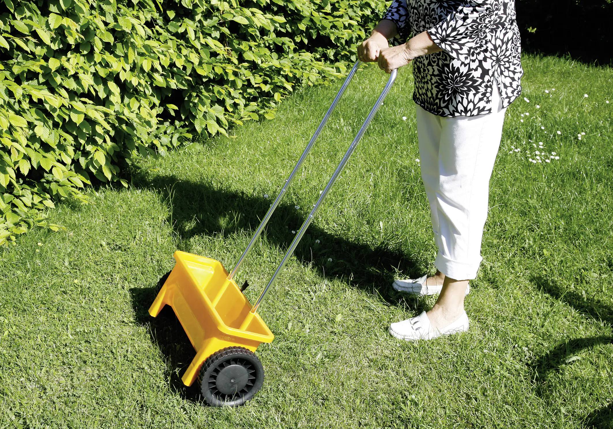 4047883005728_976217 Floraworld Streuwagen 12 L, 45 cm