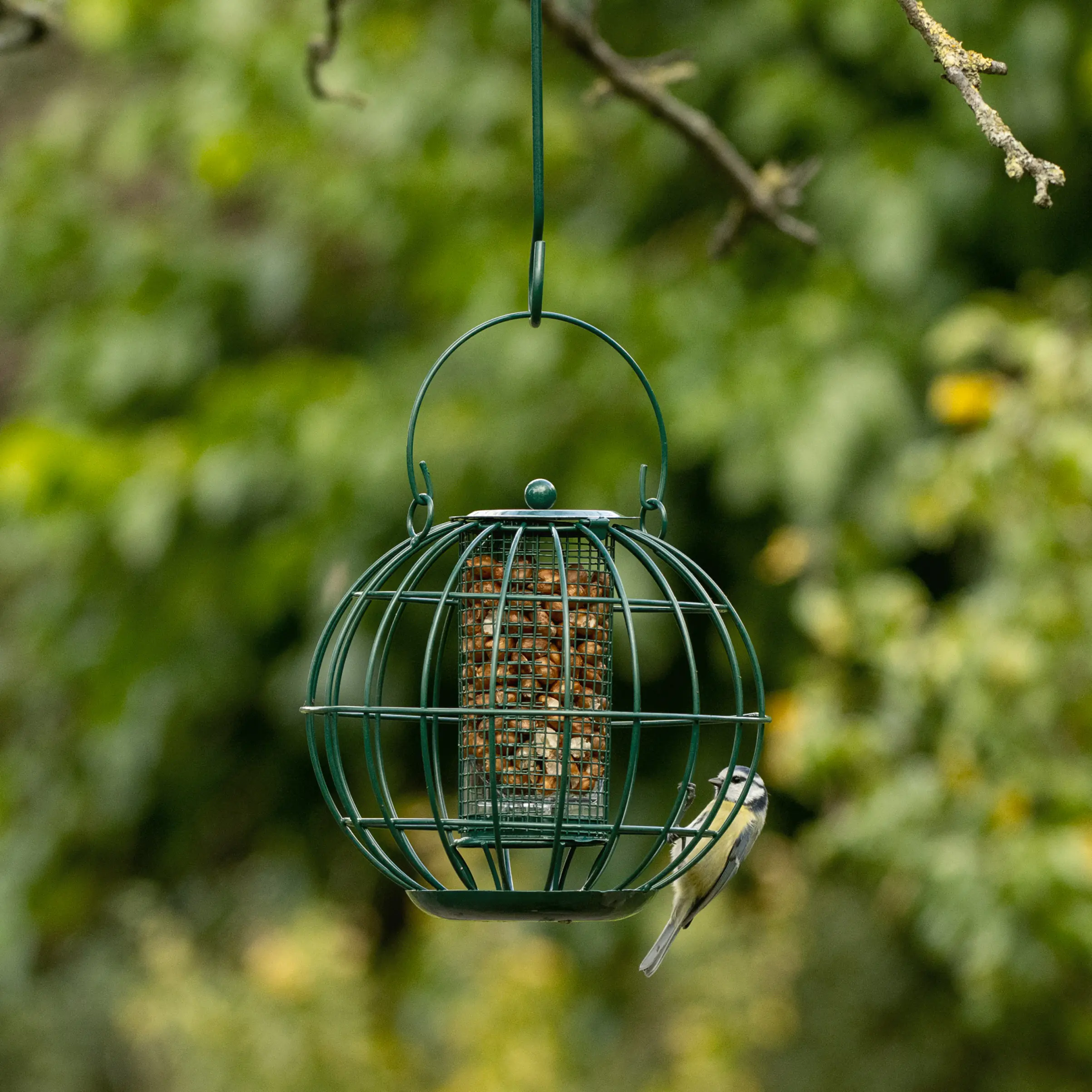 Erdnusssäule London Ø 21,5, Höhe 20,5 cm Erdnusssäule London Ø 21,5, Höhe 20,5 cm