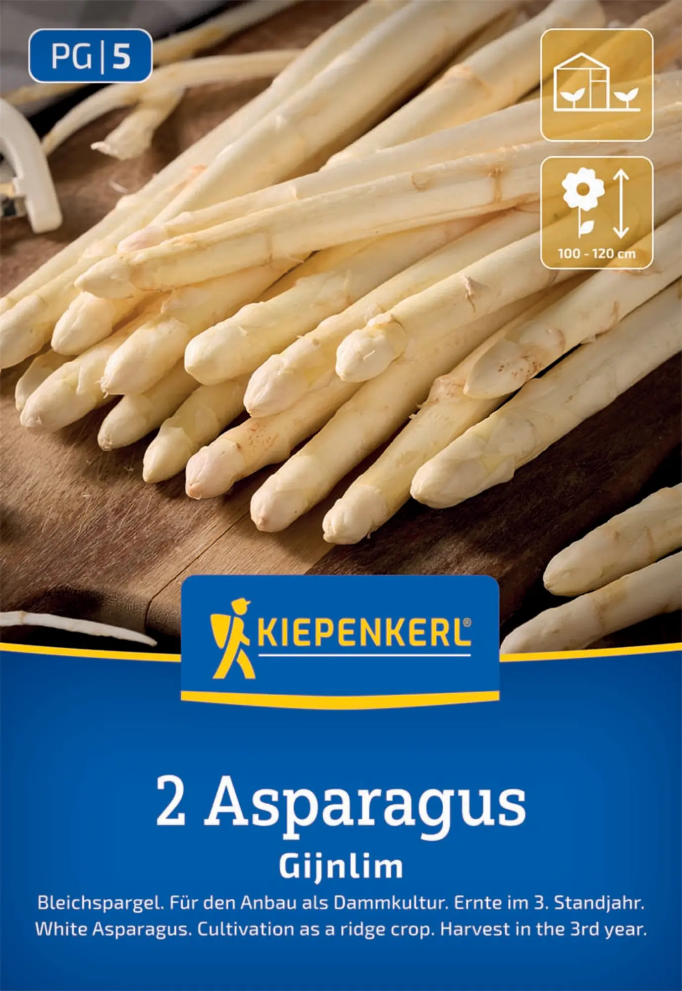 Kiepenkerl Pflanzgut Bleichspargel Gijnlim Asparagus officinalis 2 Stück