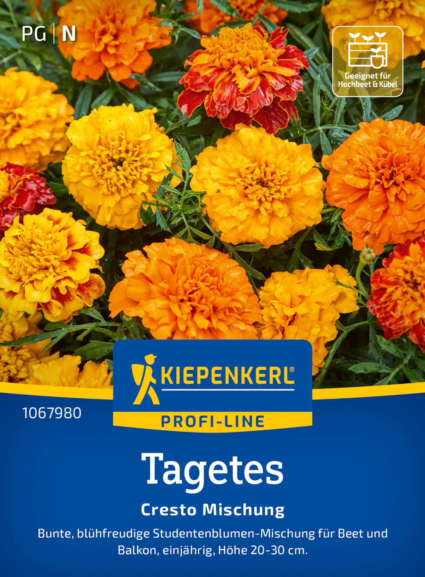 Kiepenkerl Profi-Line Blumensamen Tagetes Cresto Mischung für ca. 60 Pflanzen