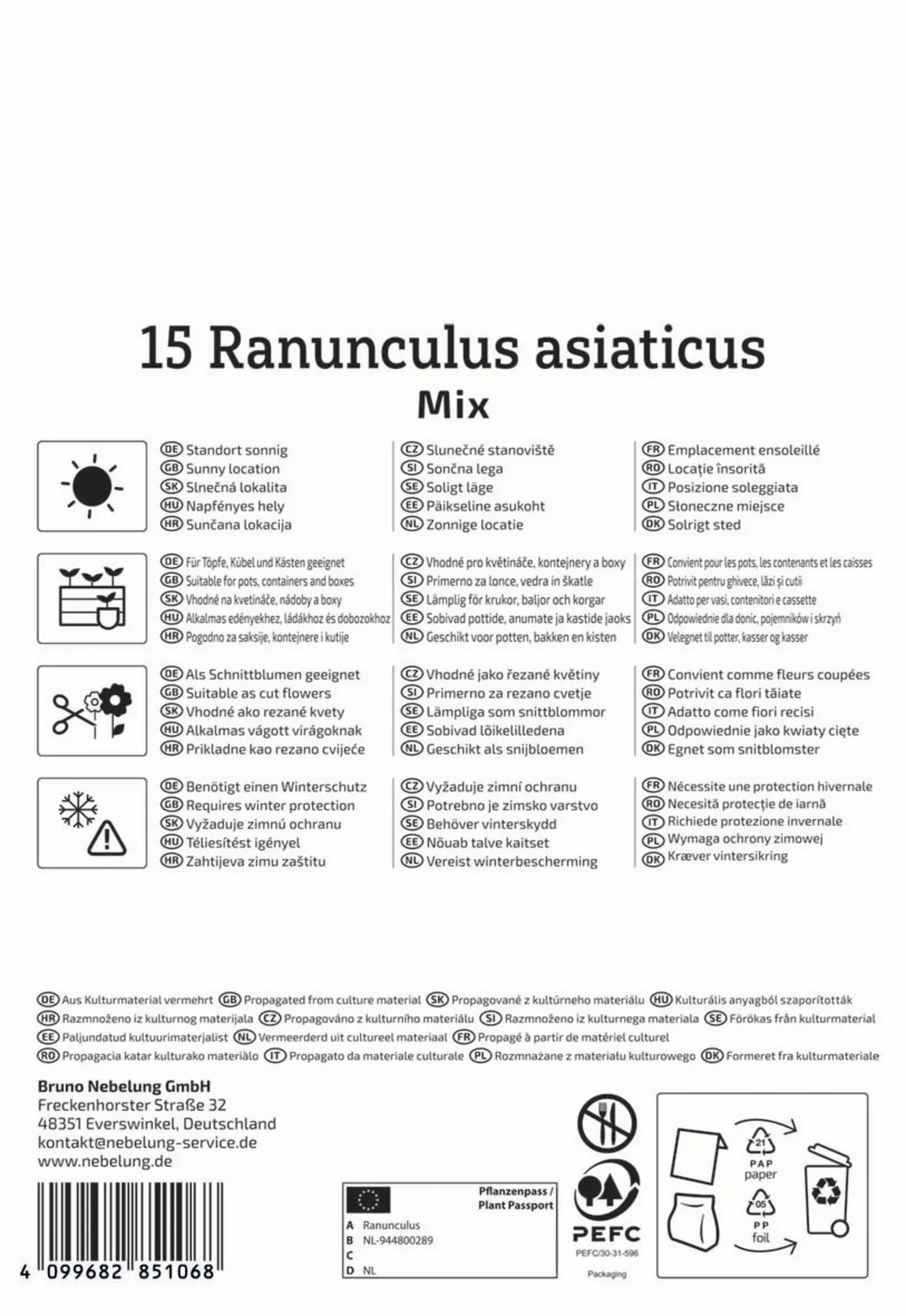 Kiepenkerl Herbstblumenzwiebel Ranunkel Mischung 15 Pflanzen