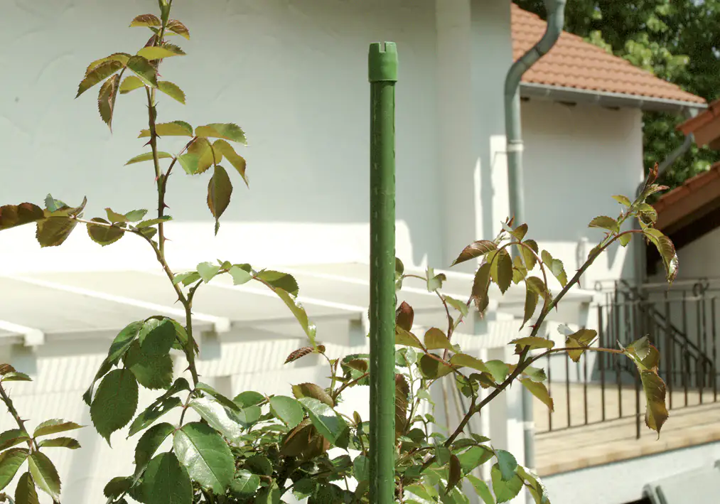 Floraworld Stahlrohr-Pflanzstab grün 270 cm