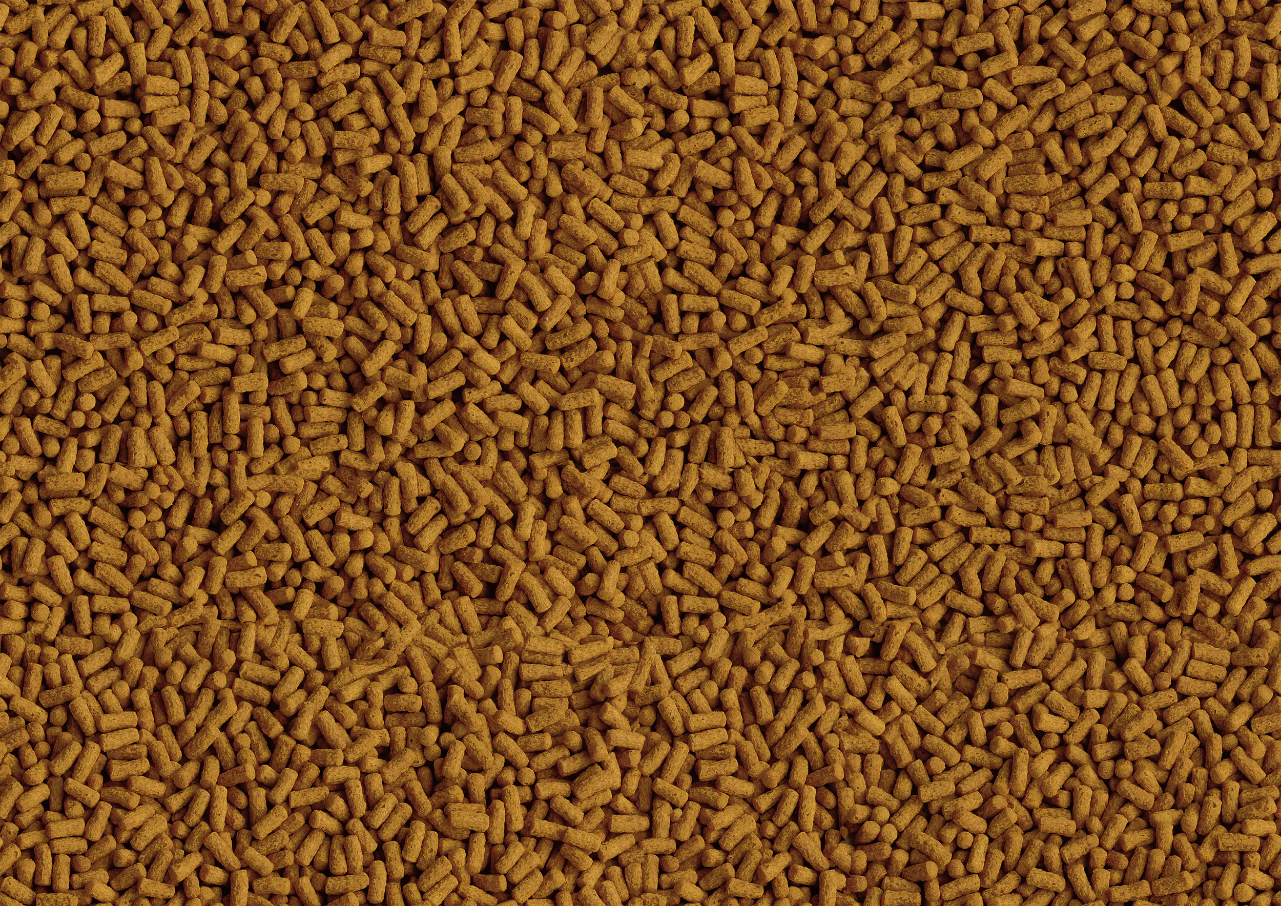 Tetra Pond Koi Sticks Colour & Growth 4 L Tetra Pond Koi Sticks Colour & Growth 4 L