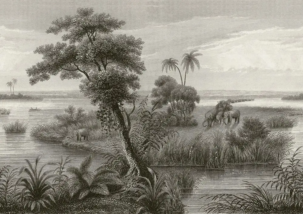 Rasch Vlies Fototapete 556131 Schwarz-Anthrazit Muster & Motive 3 m x 4,24 m