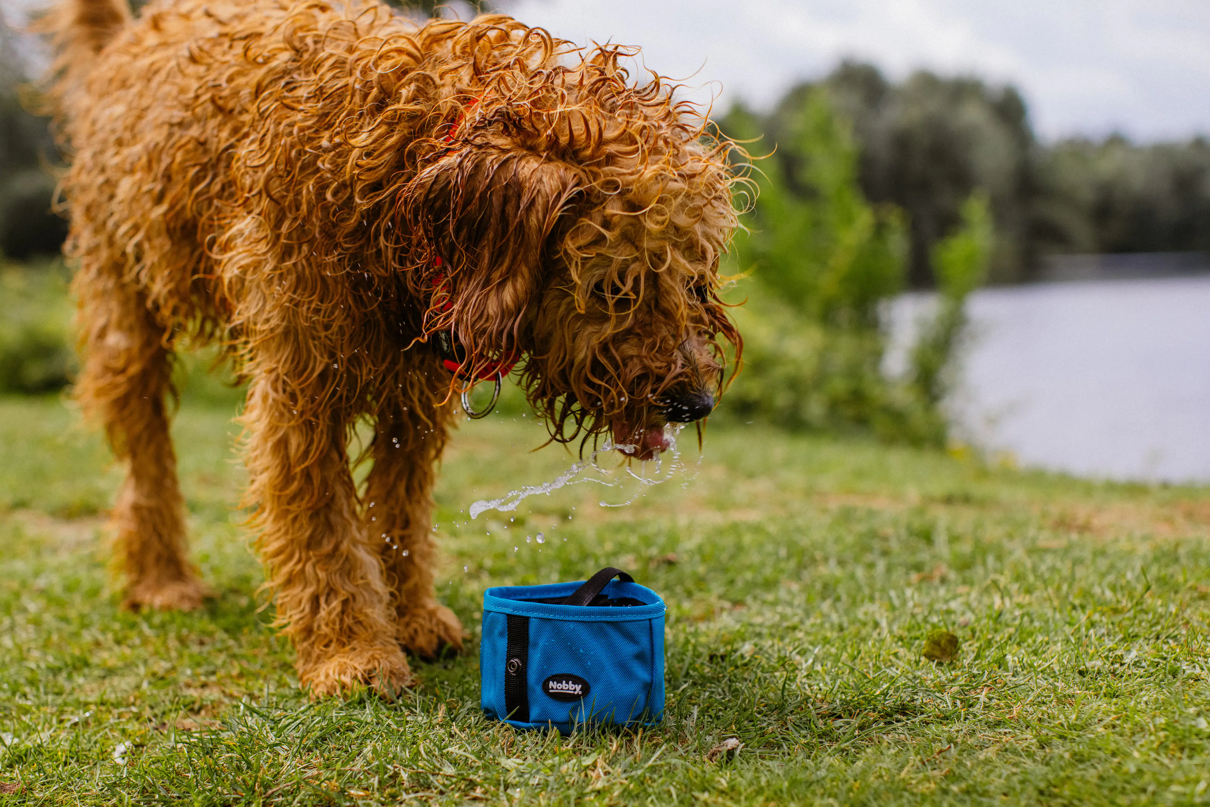 Nobby Reisenapf Rio hellblau 500 ml Nobby Reisenapf Rio hellblau 500 ml