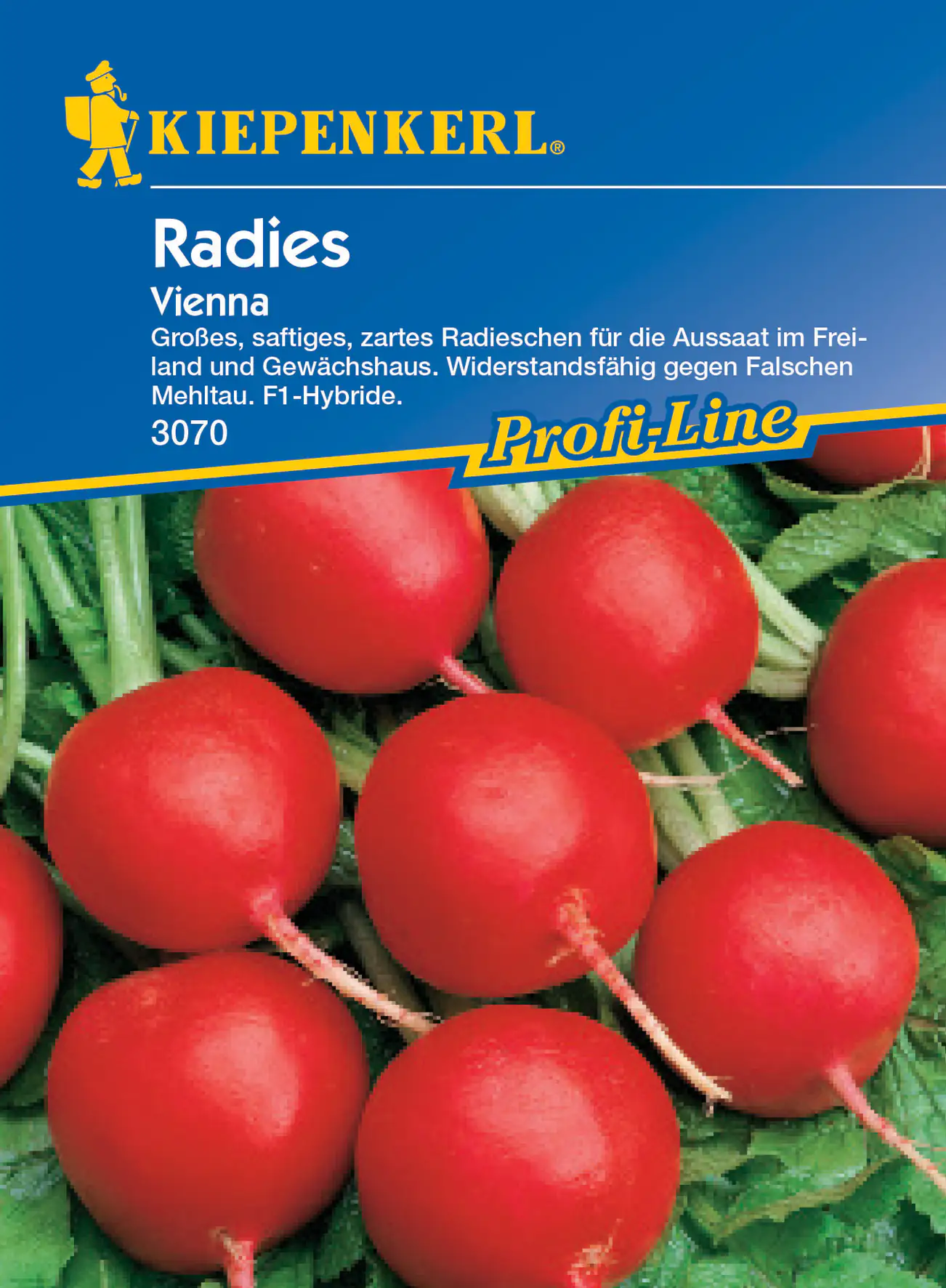 Kiepenkerl Radieschen Vienna F1