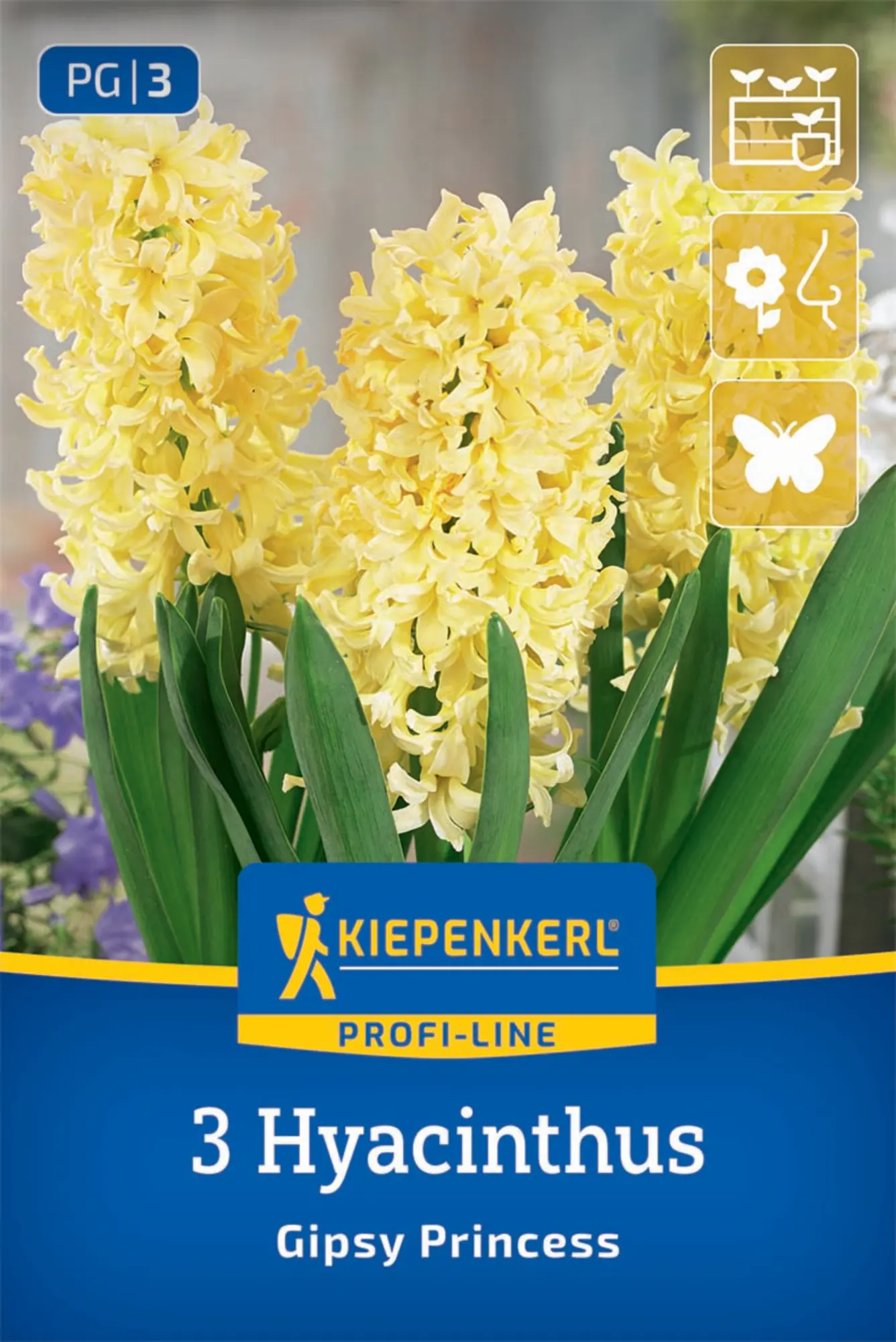Kiepenkerl Herbstblumenzwiebel Hyazinthen Gipsy Princess 3 Stück