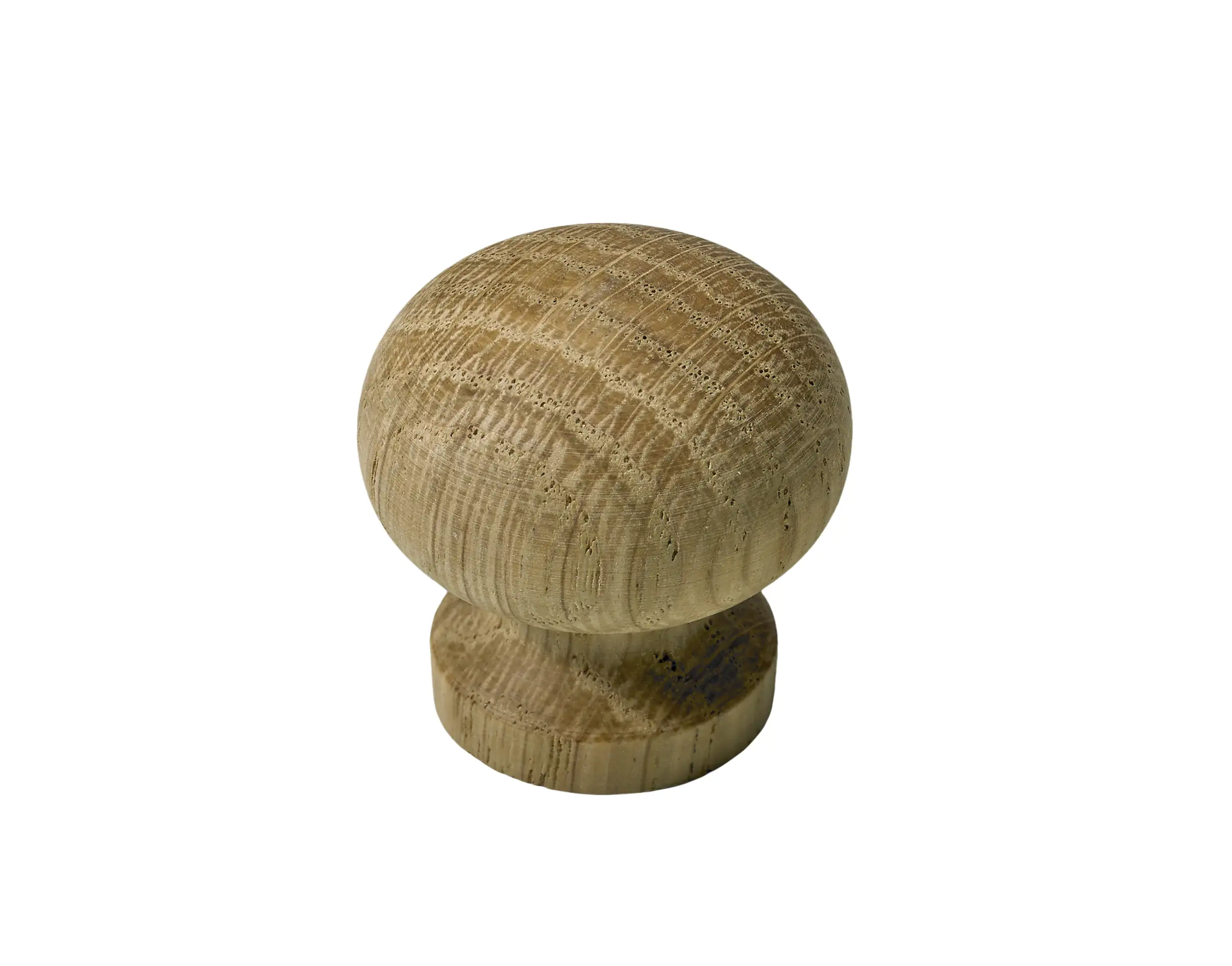 Hettich Möbelknopf Eiche roh Ø 30,0 mm - 1 Stück