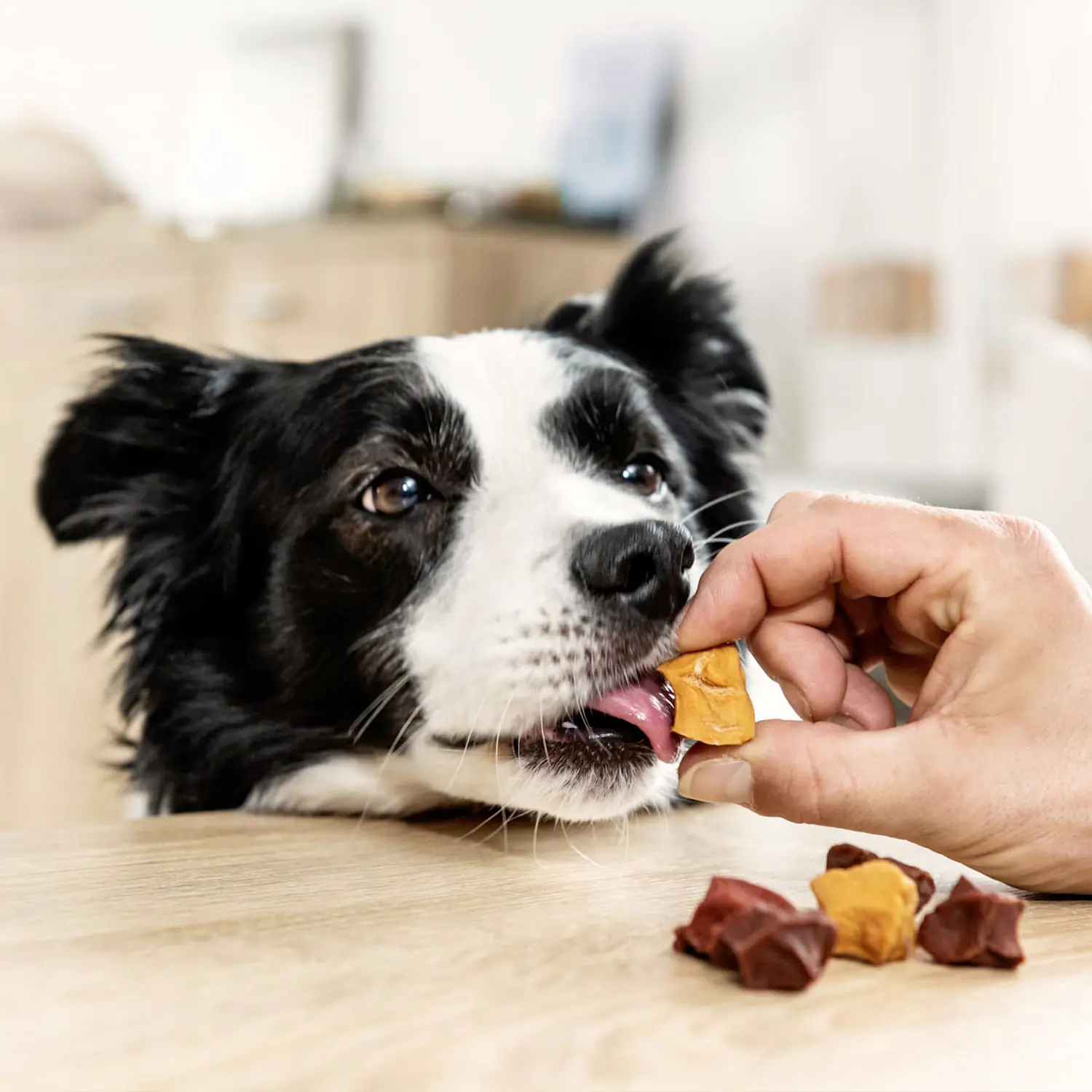 8in1 Hundeleckerli Skewer Bites 100 g