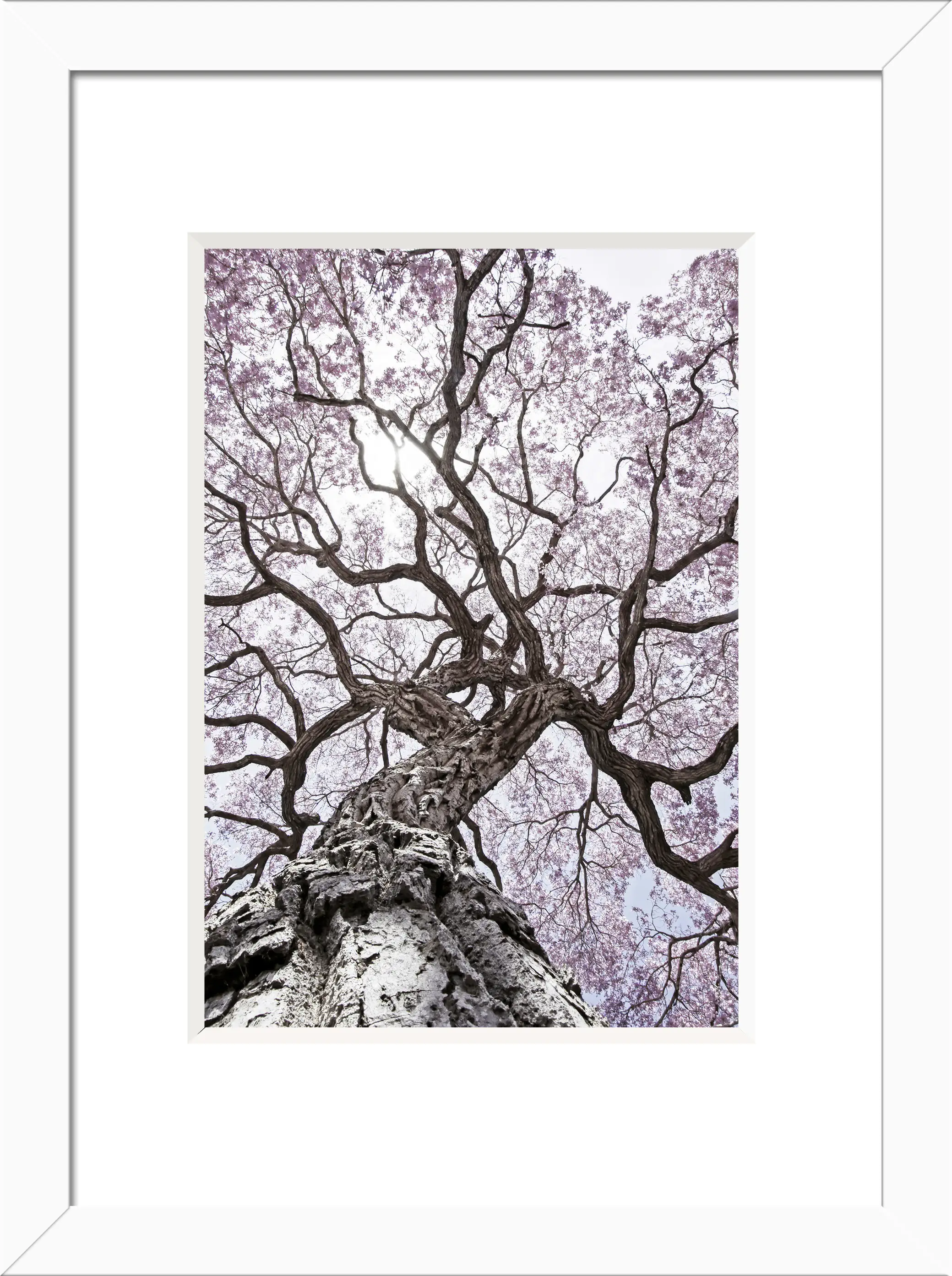 Holz Bilderrahmen Baltic weiß 15 x 21 cm