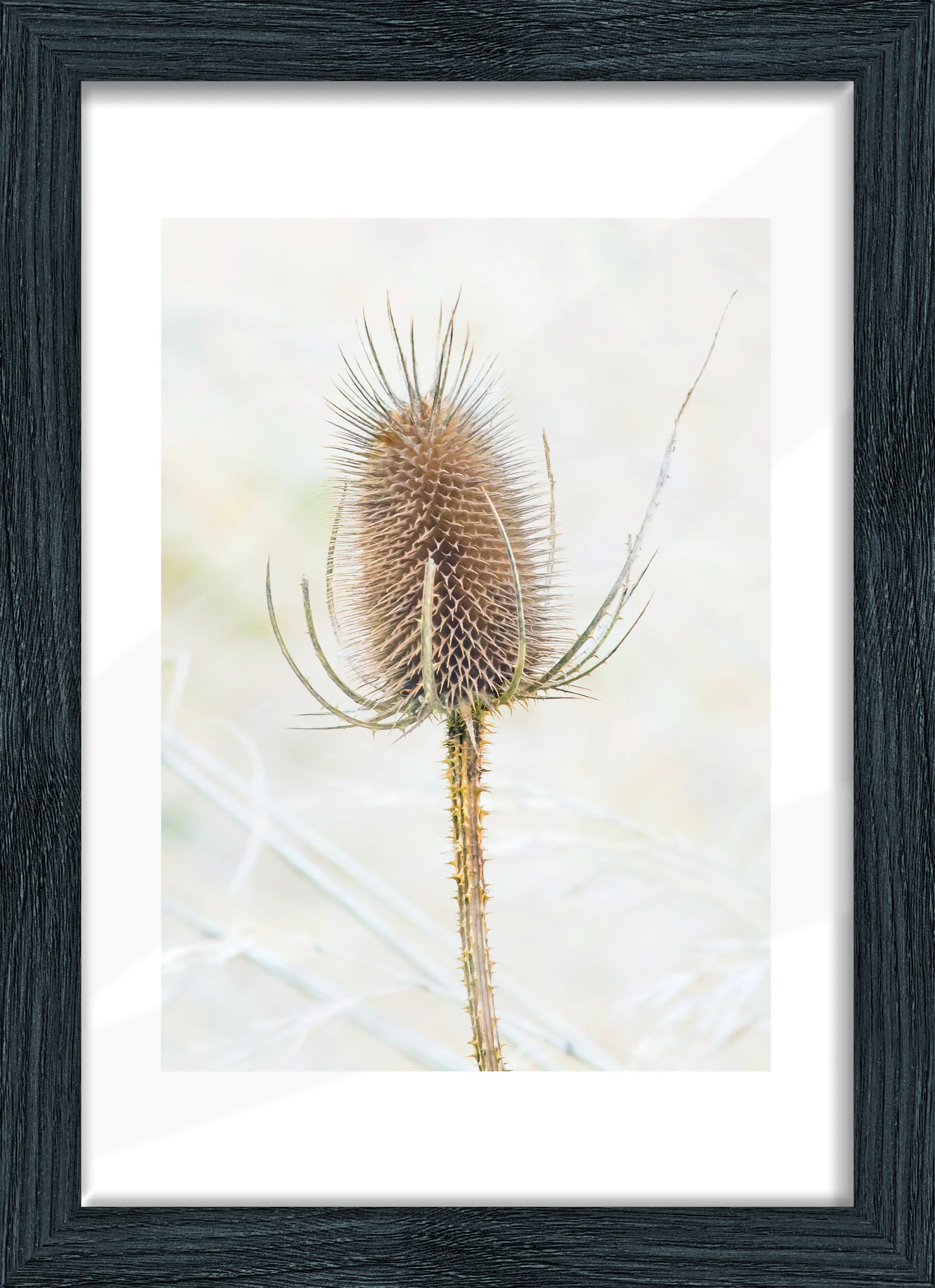 Bilderrahmen Holz Arosa eiche schwarz 21 x 29,7 cm