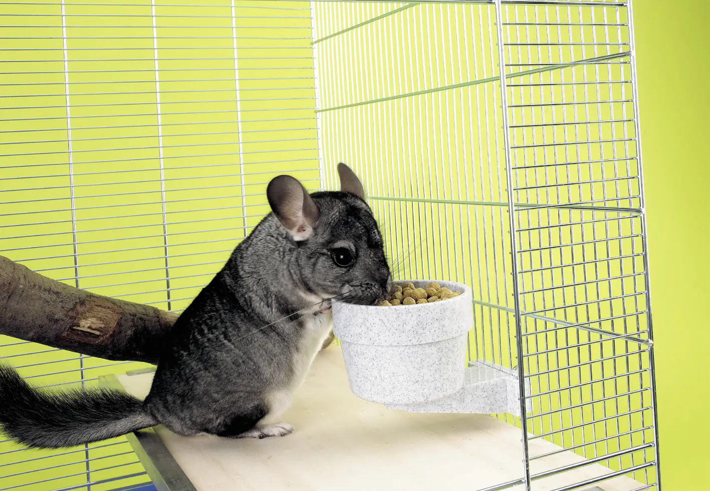 Savic Futternapf Crock 300 ml