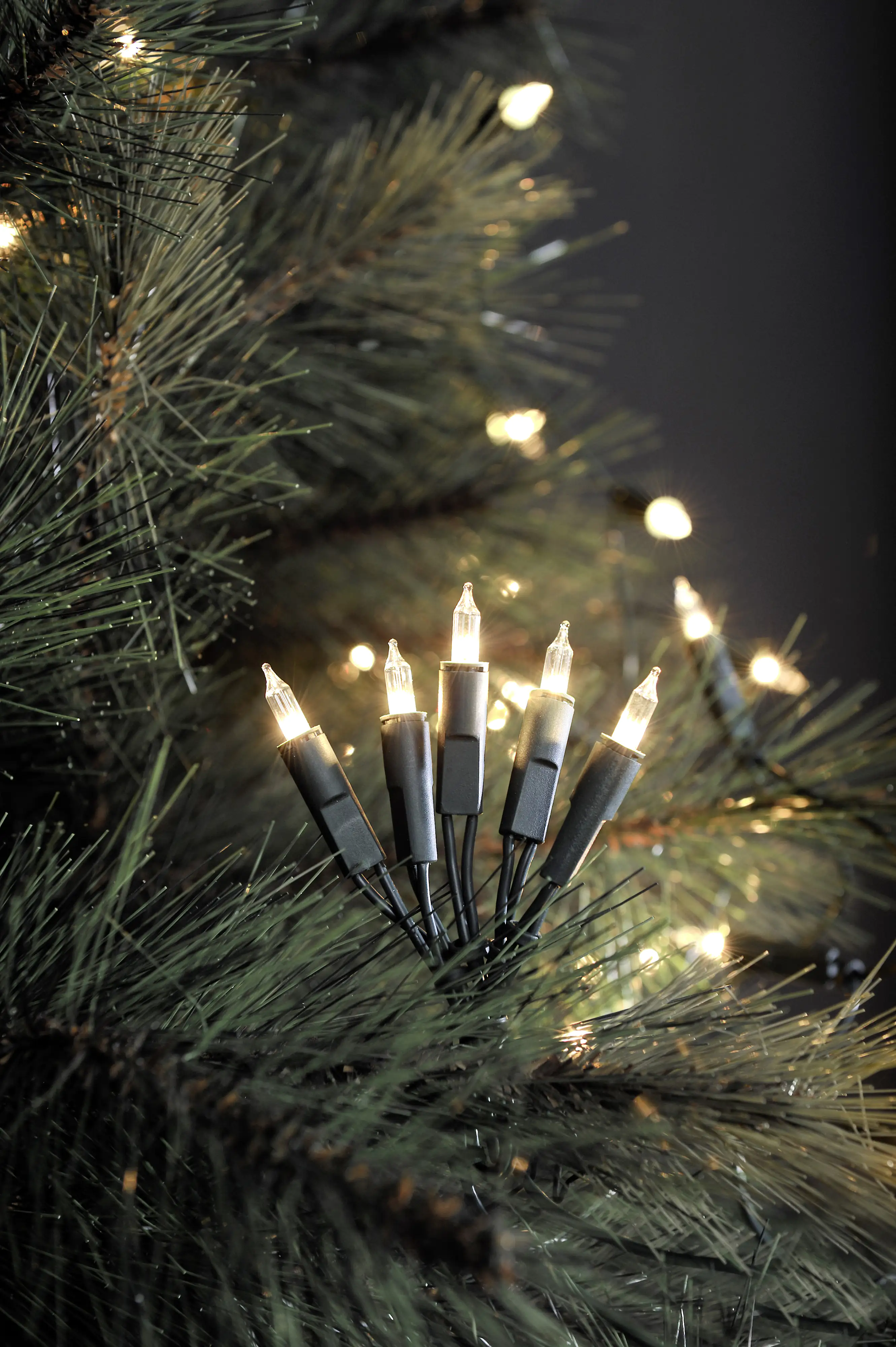 Konstsmide LED Minilichterkette 50 LED 50 LED, warmweiß