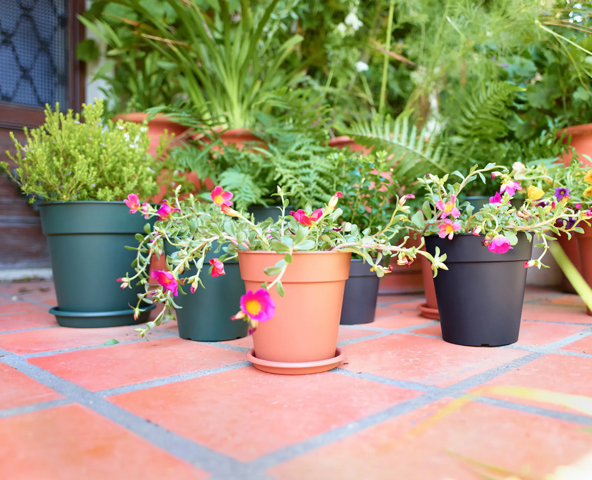 Artevasi Blumentopfuntersetzer Redondo Kunststoff rund terrakotta matt Ø 45 cm