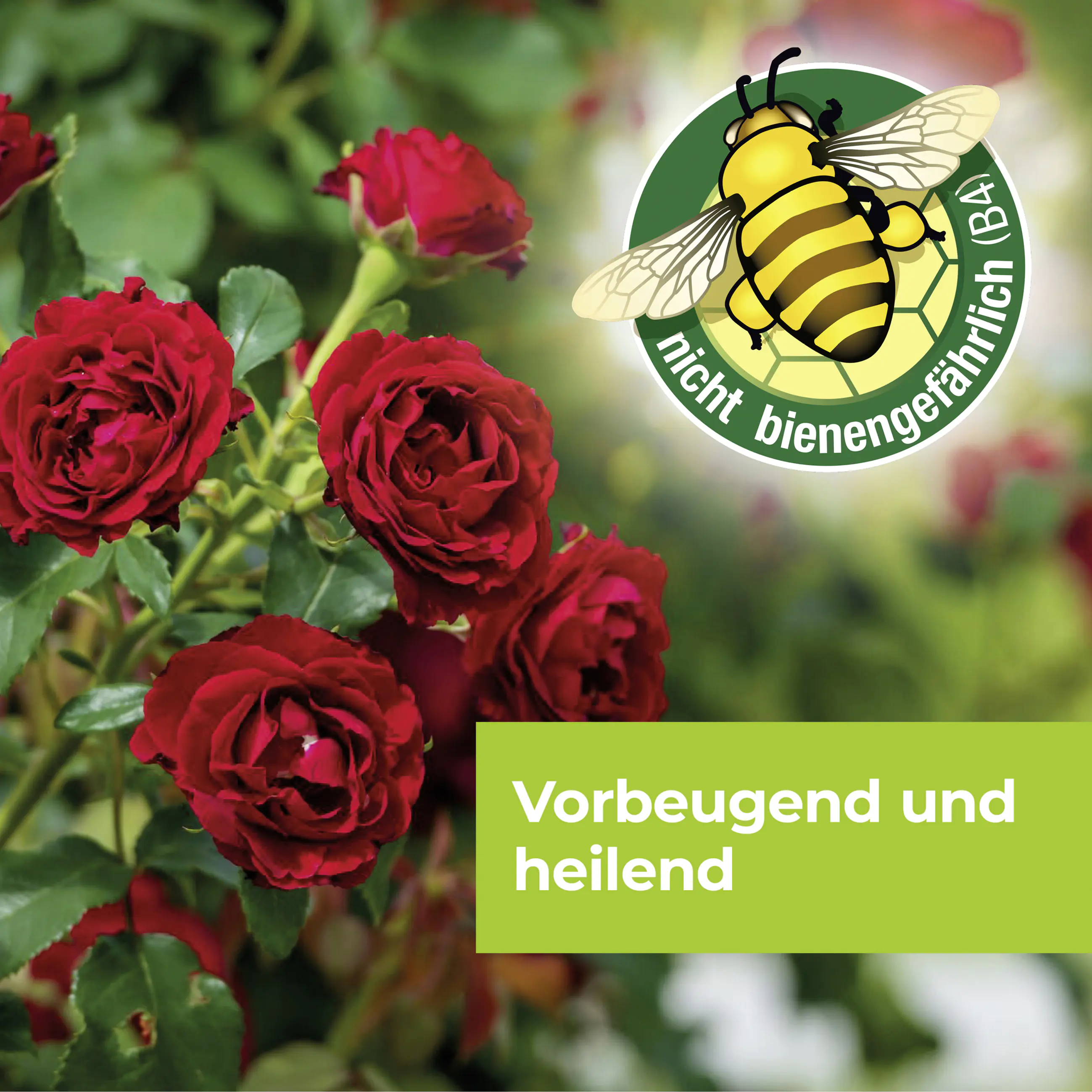 Protect Garden Curamat AZ Rosen-Pilzfrei 15 ml Protect Garden Curamat AZ Rosen-Pilzfrei 15 ml