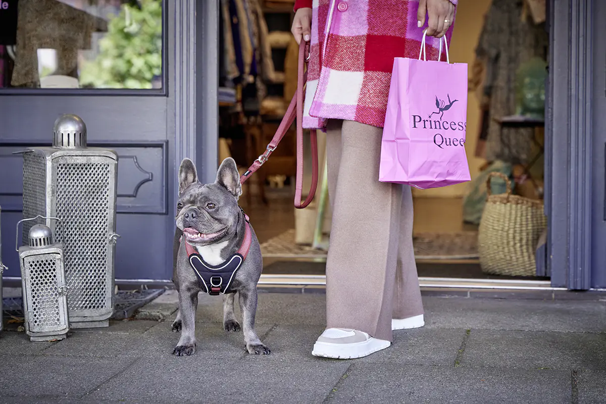 Wolters Hundegeschirr Professional Comfort rost rot