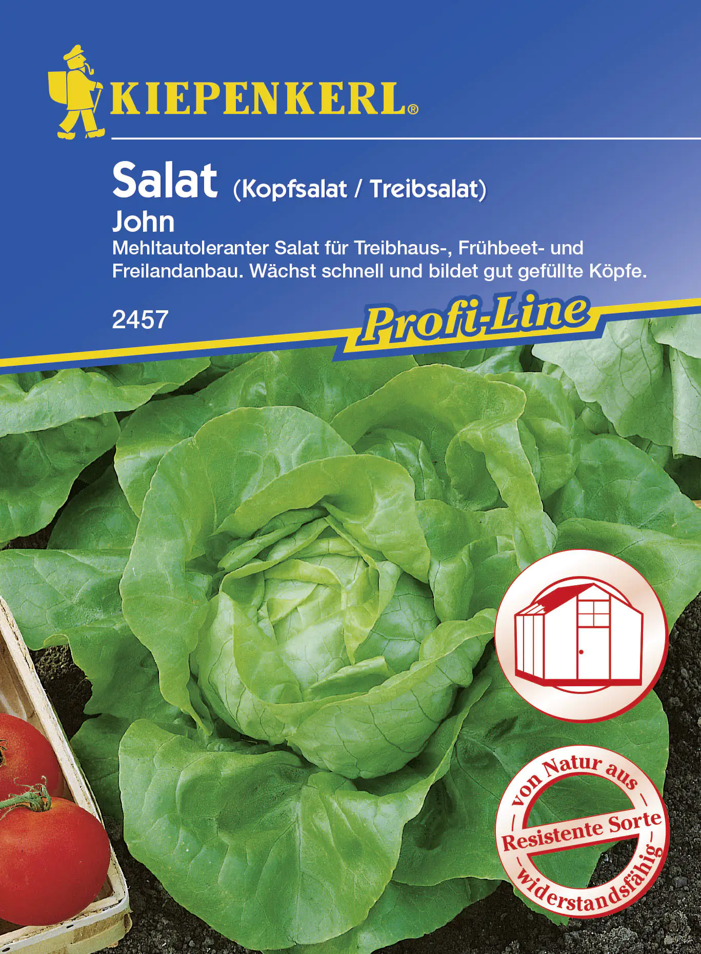 Kiepenkerl Kopfsalat John Lactuca sativa var. capitata, Inhalt: ca. 150 Pflanzen Kiepenkerl Kopfsalat John Lactuca sativa var. capitata, Inhalt: ca. 150 Pflanzen