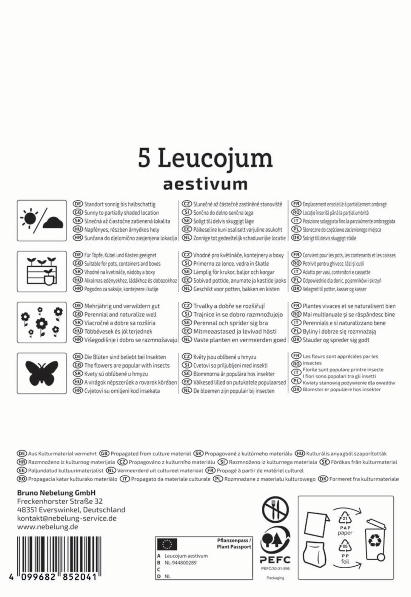 Kiepenkerl Herbstblumenzwiebel Sommerknotenblume 5 Stück