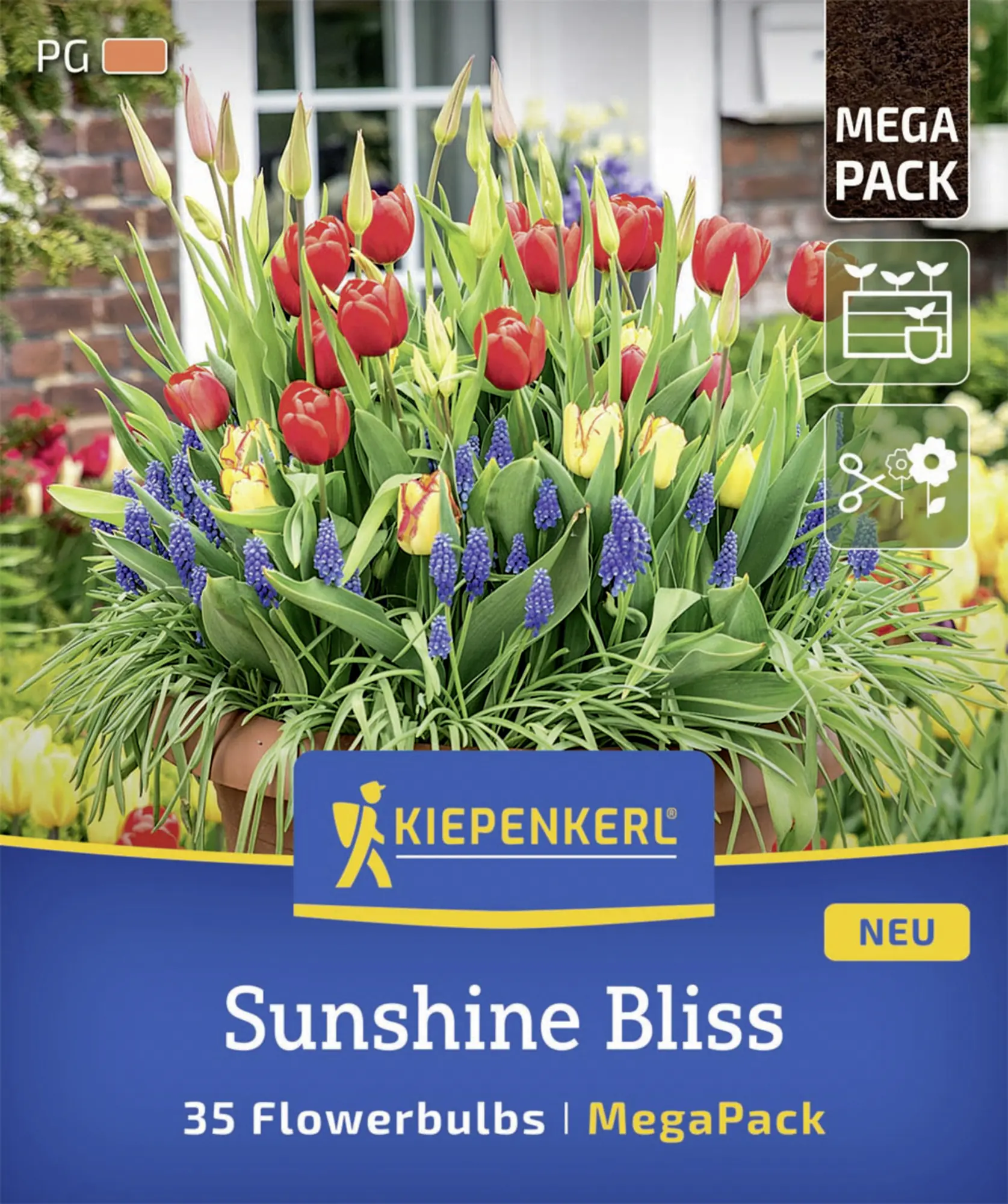 Kiepenkerl Herbstblumenzwiebelmischung Mega-Pack Sunshine Bliss 35 Stück