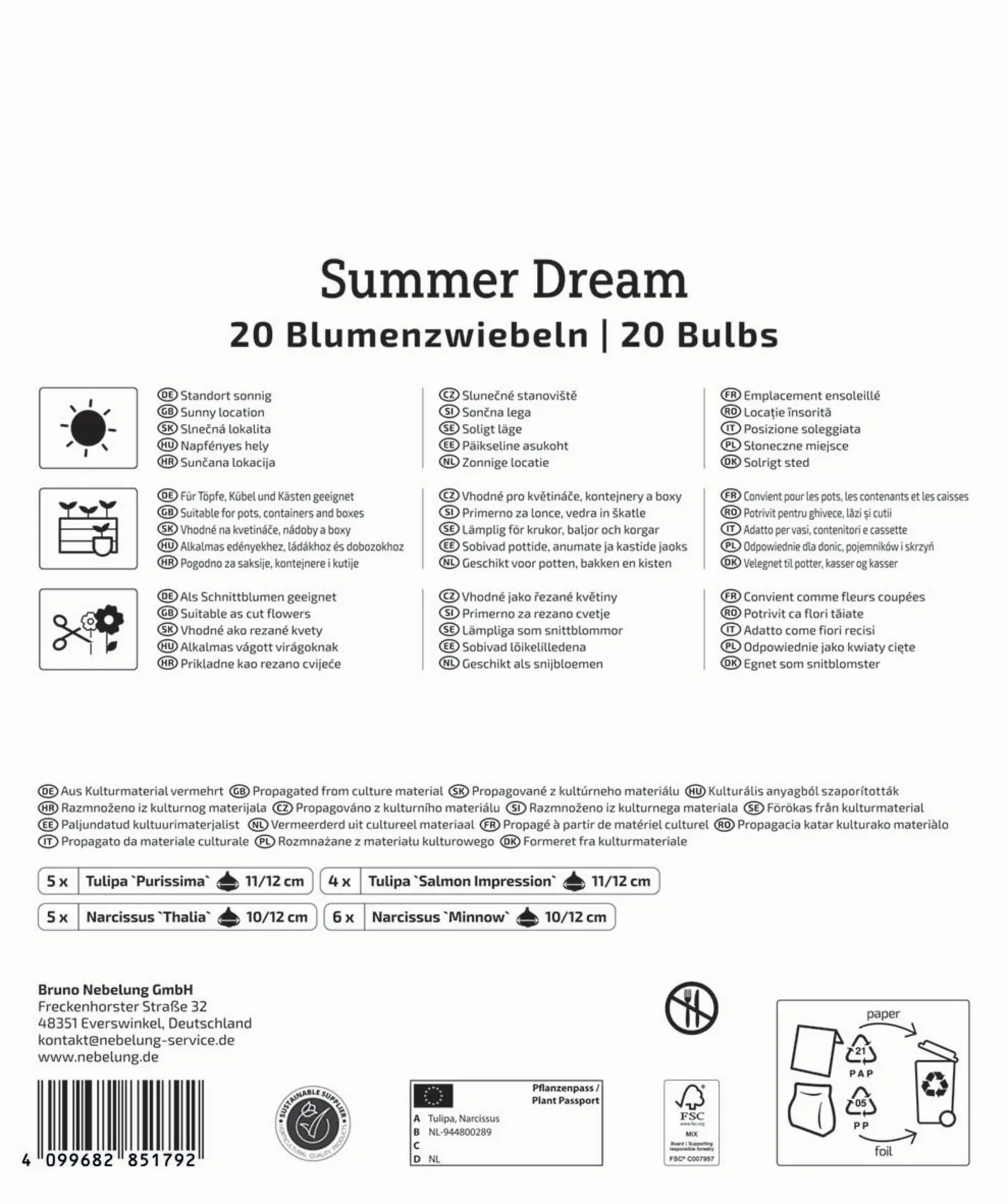 Kiepenkerl Herbstblumenzwiebel Artenmischung Summer Dream Mix 20 Stück