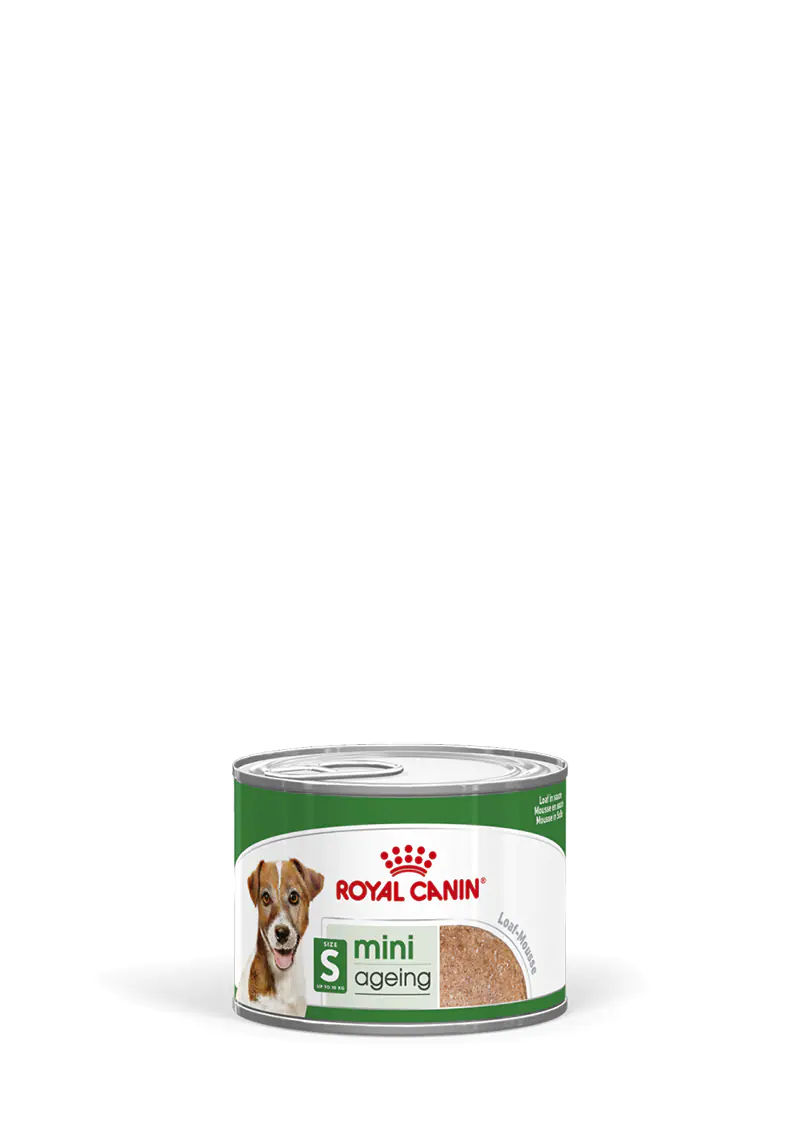 Royal Canin SHN Hundefutter Mini Ageing Mousse 195 g