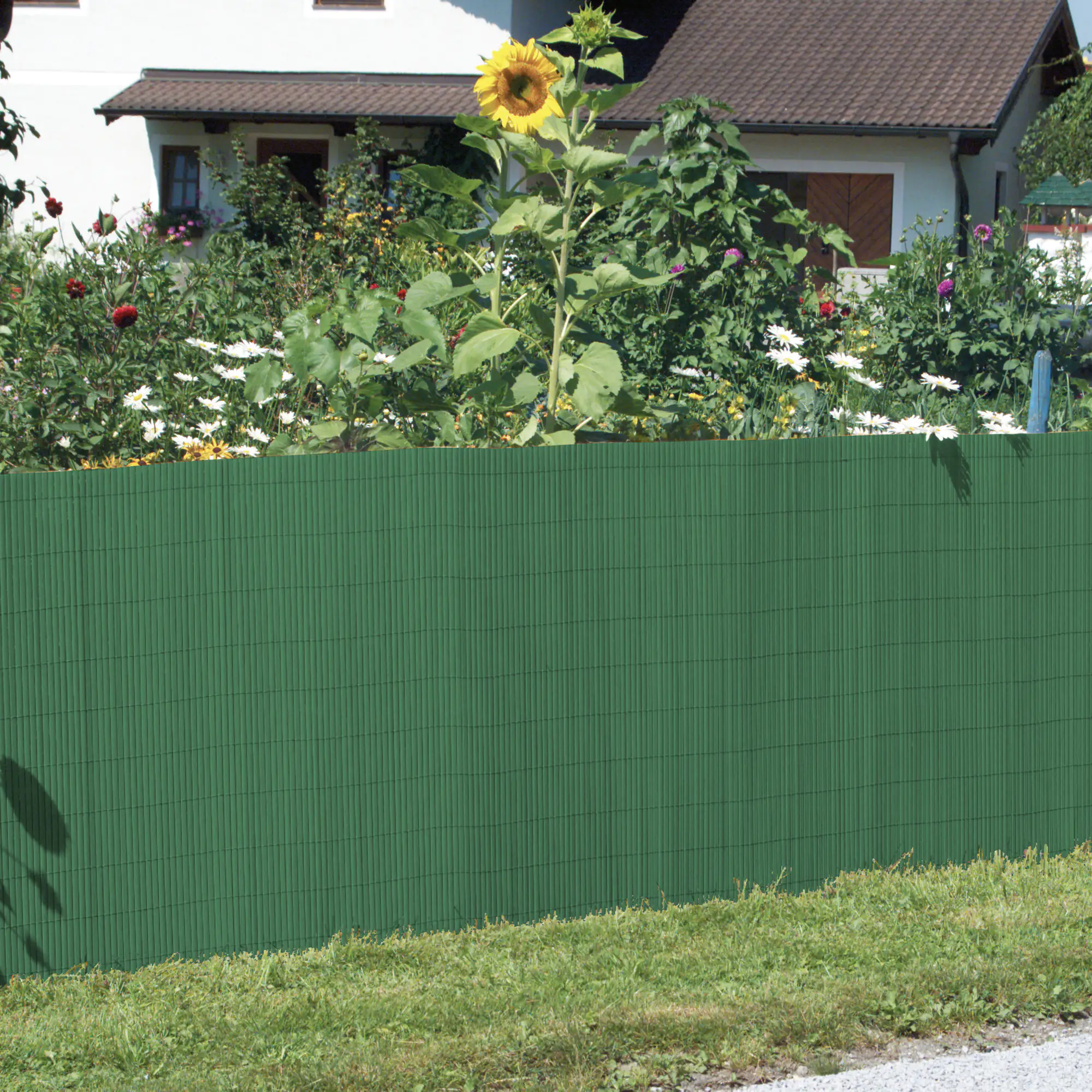 Windhager Sichtschutzmatte Presidio grün 0,9 x 3 m