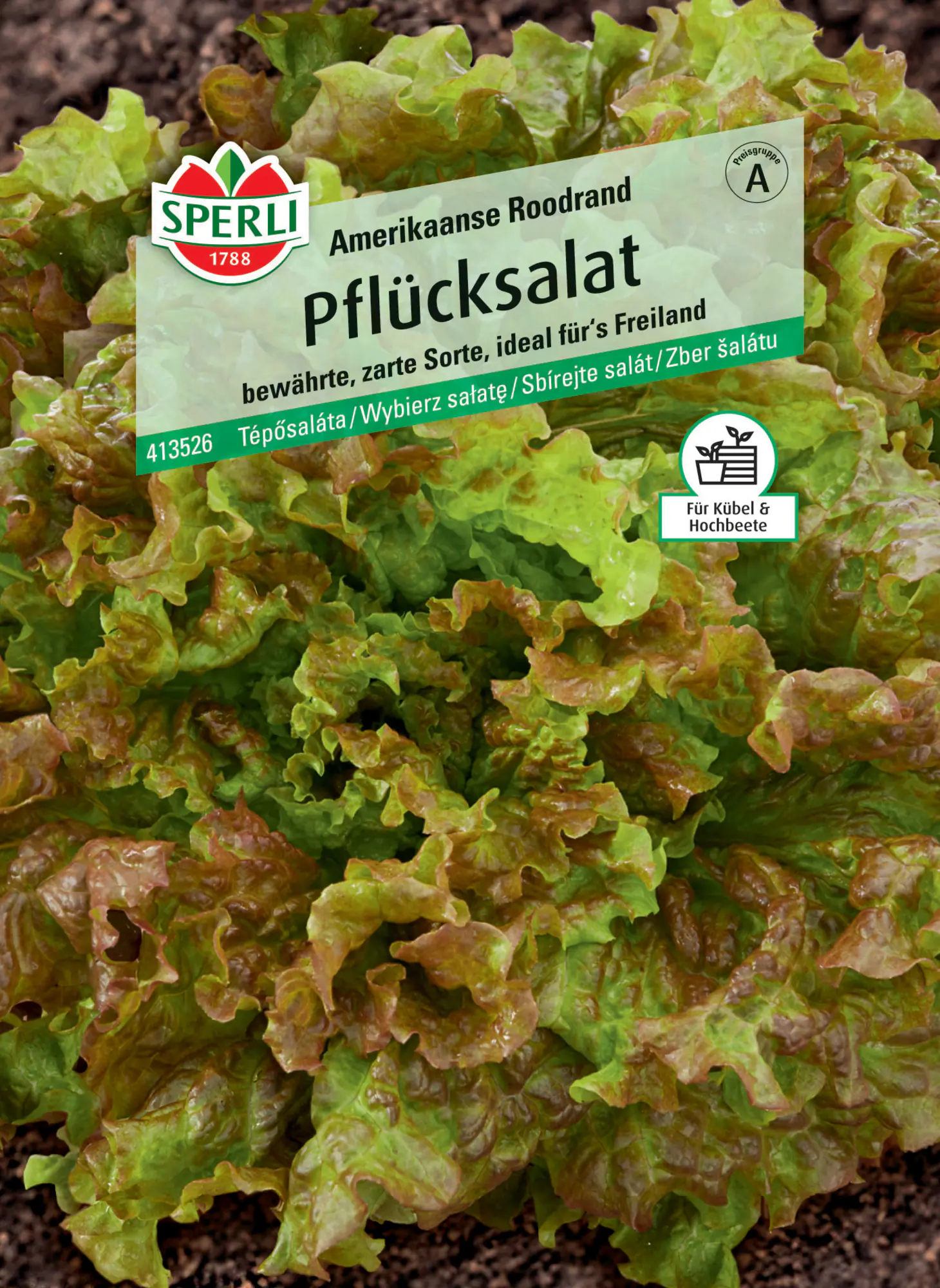 Sperli Pflücksalat Amerikanischer brauner