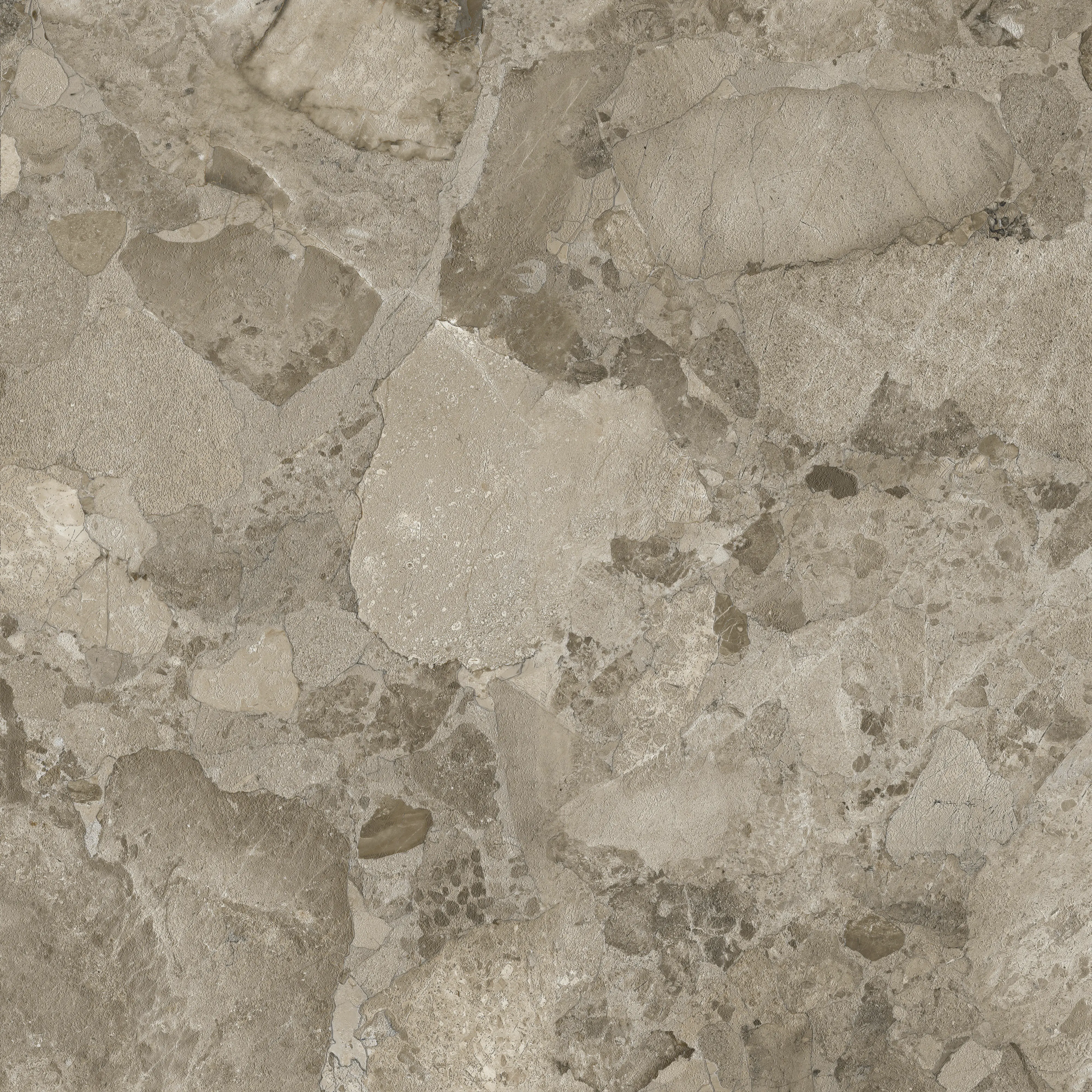 Bodenfliese Feinsteinzeug Coppo di Como 60 x 60 cm taupe