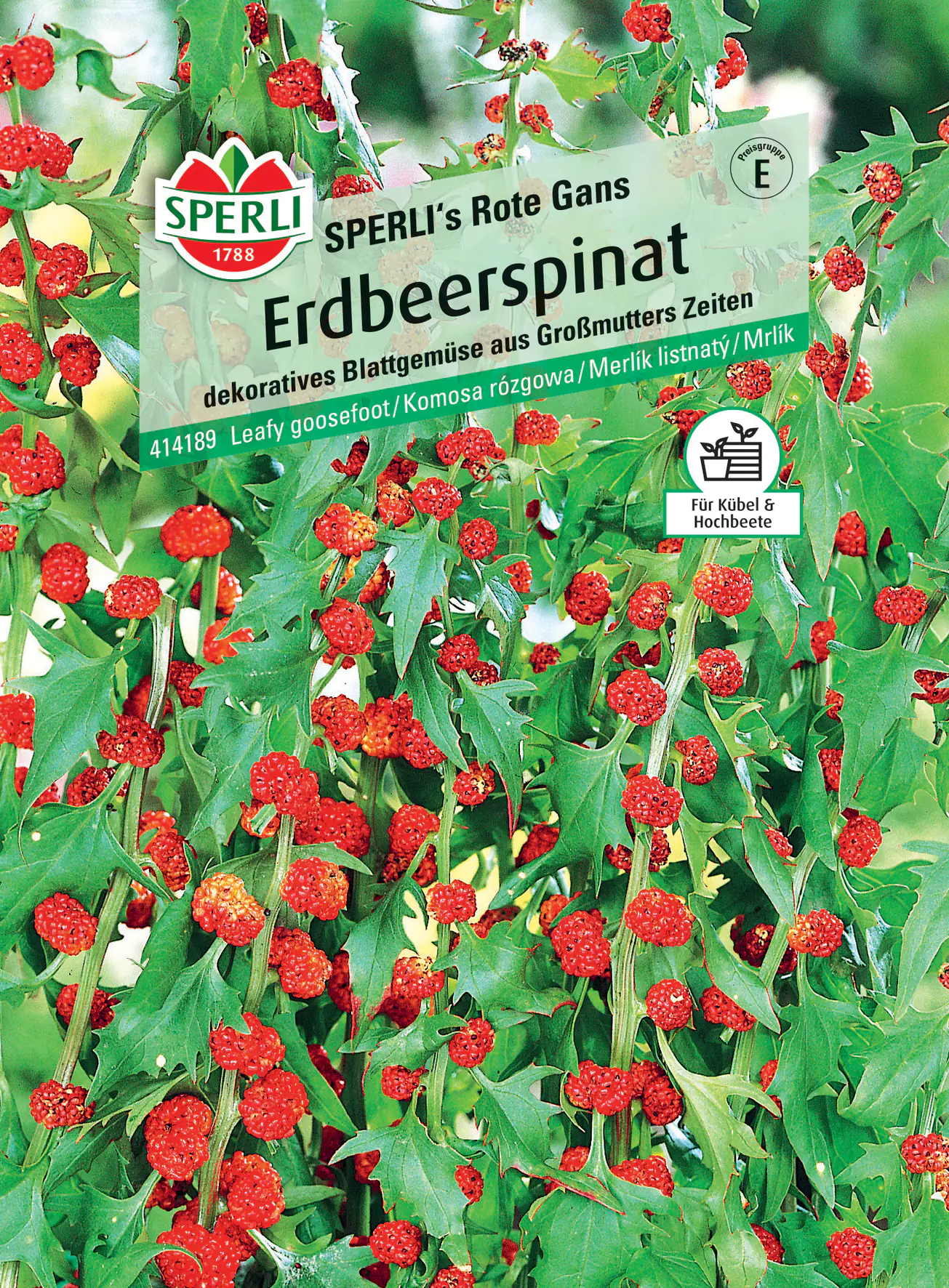Sperli Erdbeerspinat Sperli 's Rote Gans