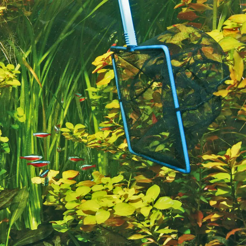 JBL Aquarienzubehör Fangnetz Premium grob schwarz JBL Aquarienzubehör Fangnetz Premium grob schwarz