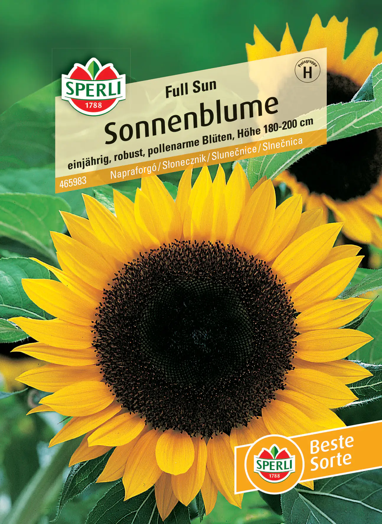 Sperli Sonnenblume Full Sun F1 Sperli Sonnenblume Full Sun F1