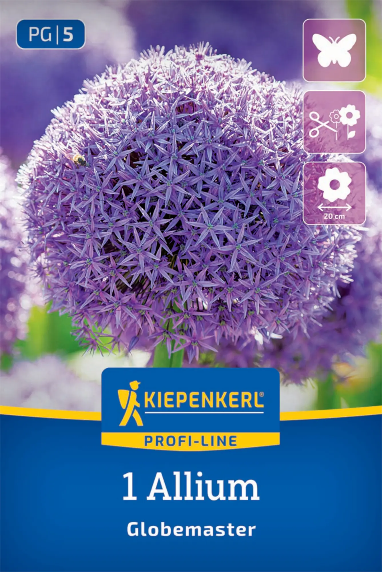Kiepenkerl Herbstblumenzwiebel Zierlauch Allium Globemaster 1 Stück