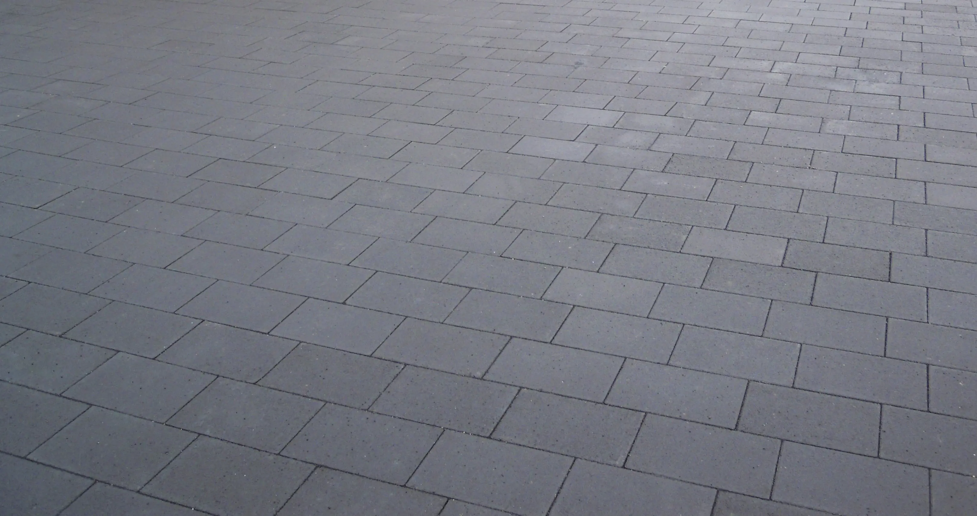 EHL Pflasterstein Veria 30 x 20 x 6 cm anthrazit