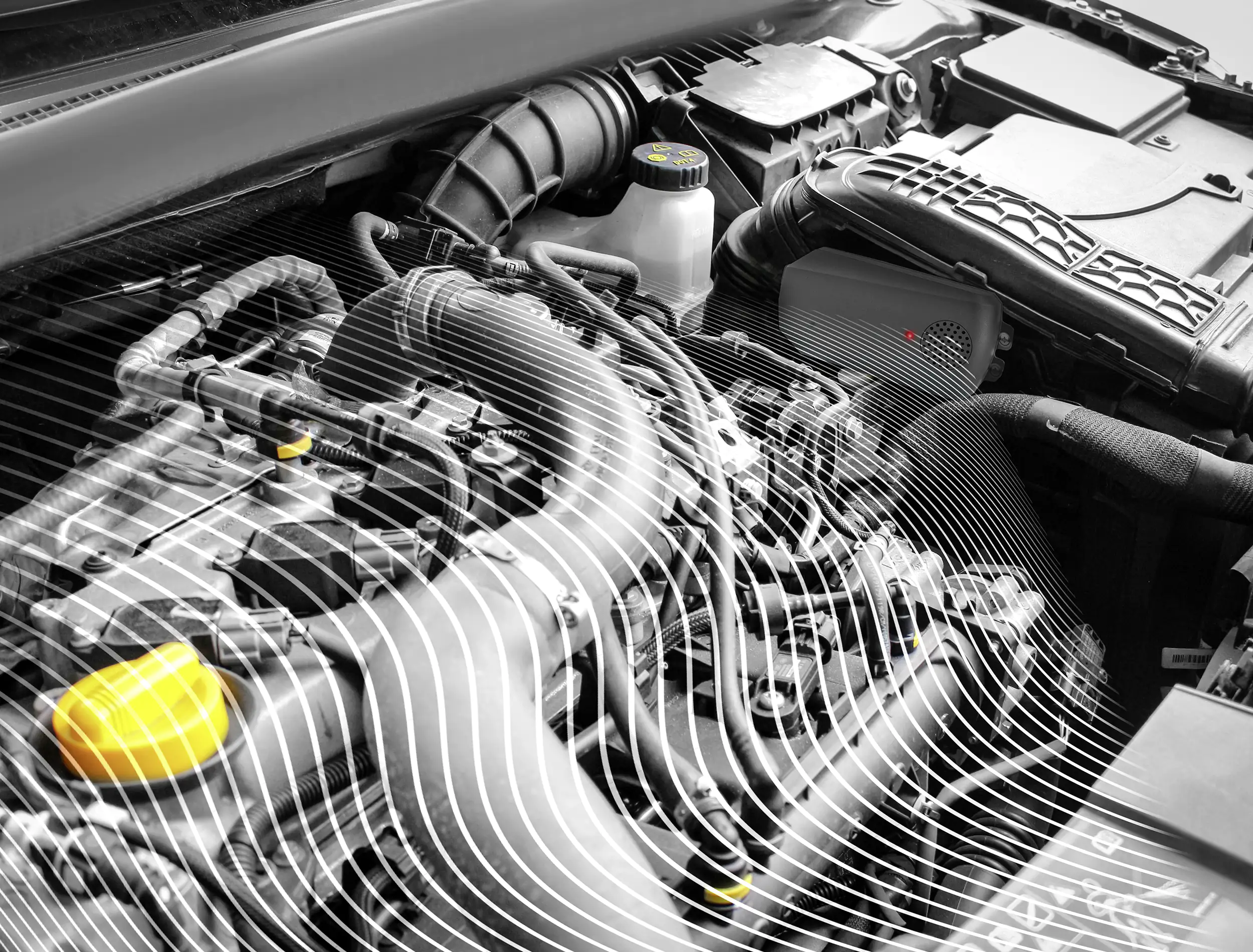 LAS Marder-Abwehrgerät mit Ultraschall 95dB 3V DC batteriebetrieben