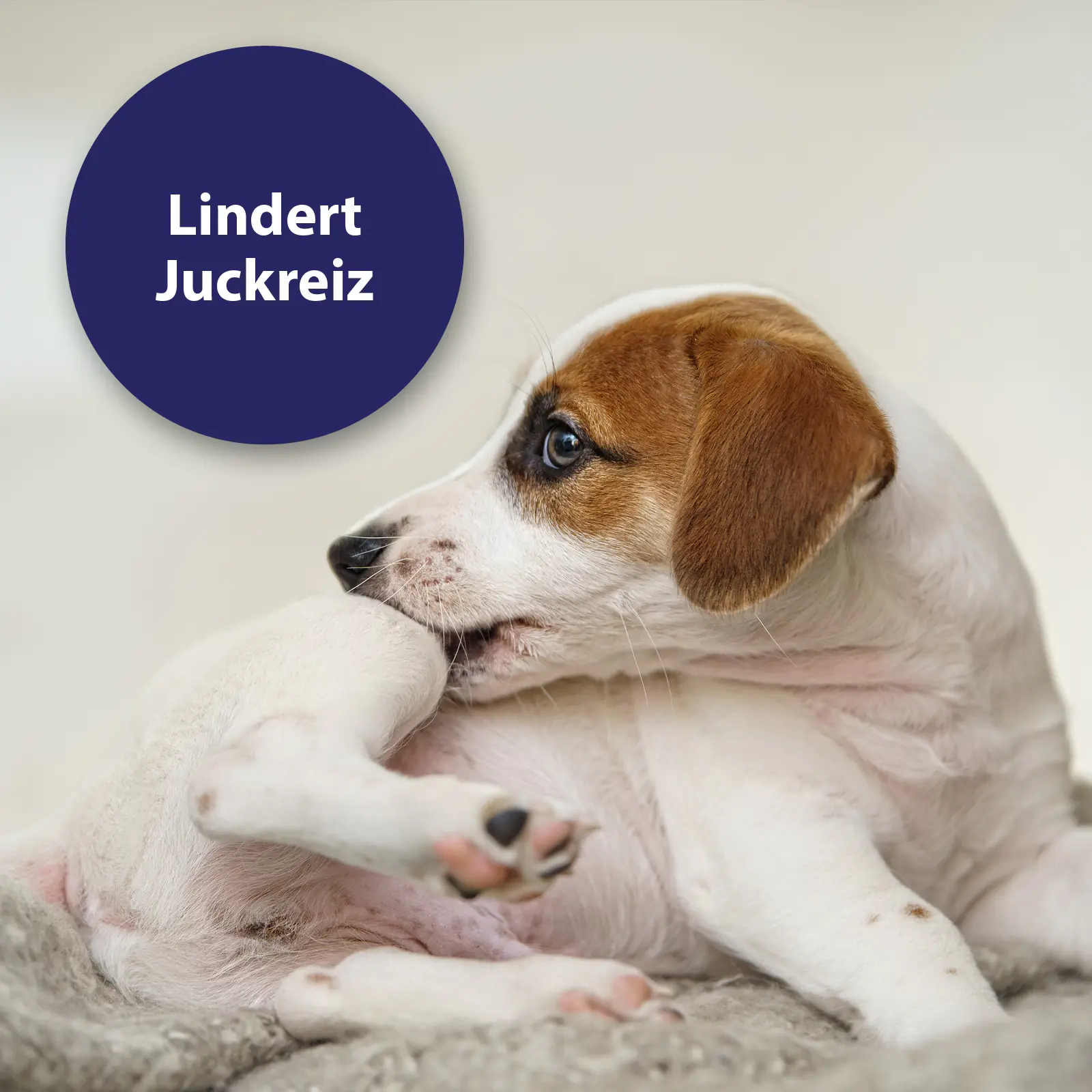 Canosept Mikro Silberspray für Hunde 75 ml  Canosept Mikro Silberspray für Hunde 75 ml