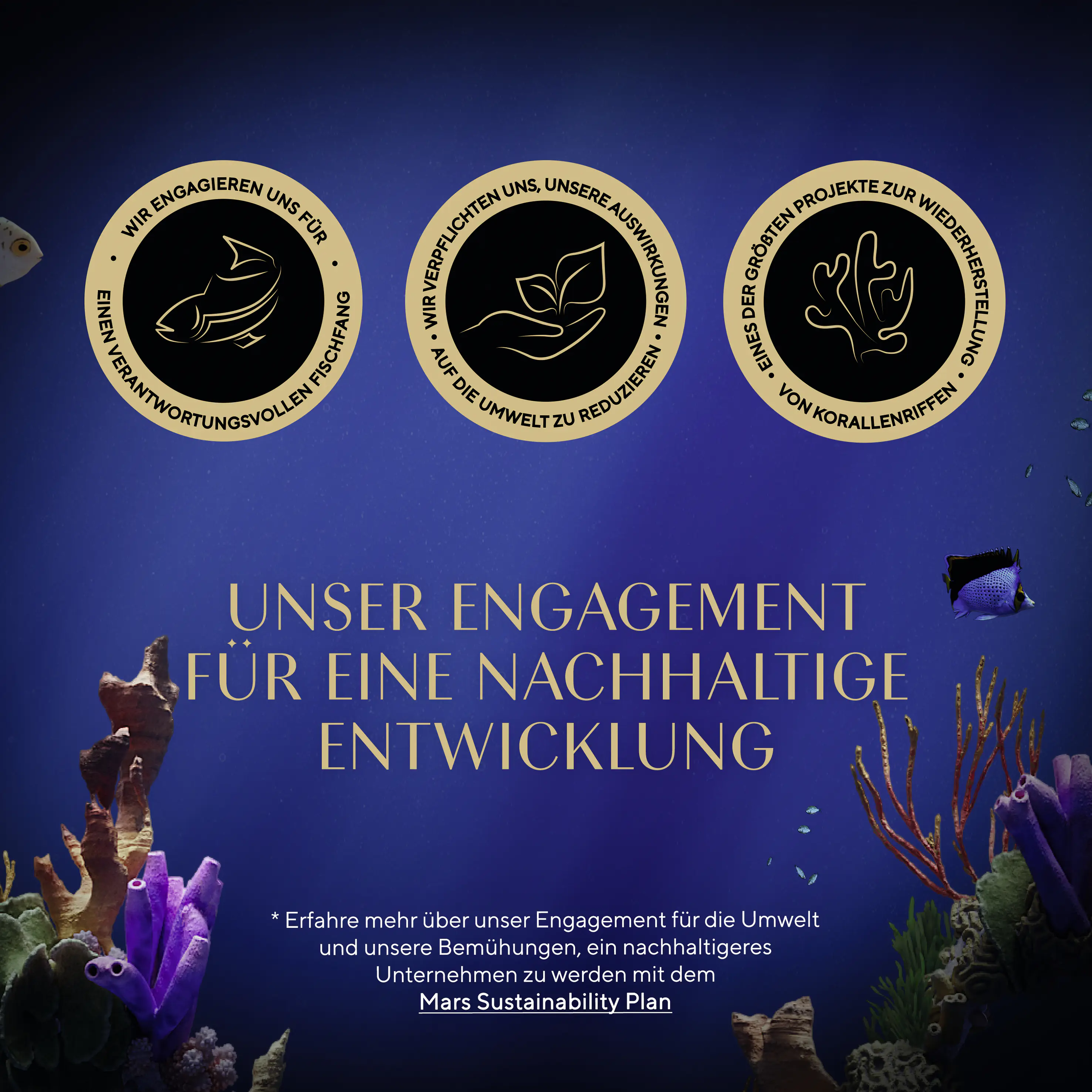 Sheba Katzennassfutter Adult 60 x 85 g Fisch in Gelee