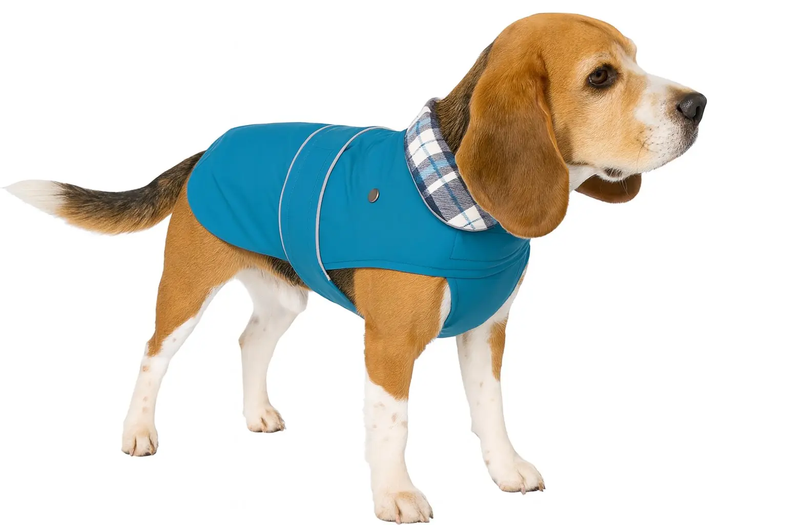 Nobby Hundemantel Sela Rückenlänge 44 cm, petrol Nobby Hundemantel Sela Rückenlänge 44 cm, petrol