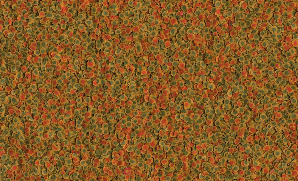 Tetra Zierfischfutter Pro Energy 500 ml Tetra Zierfischfutter Pro Energy 500 ml