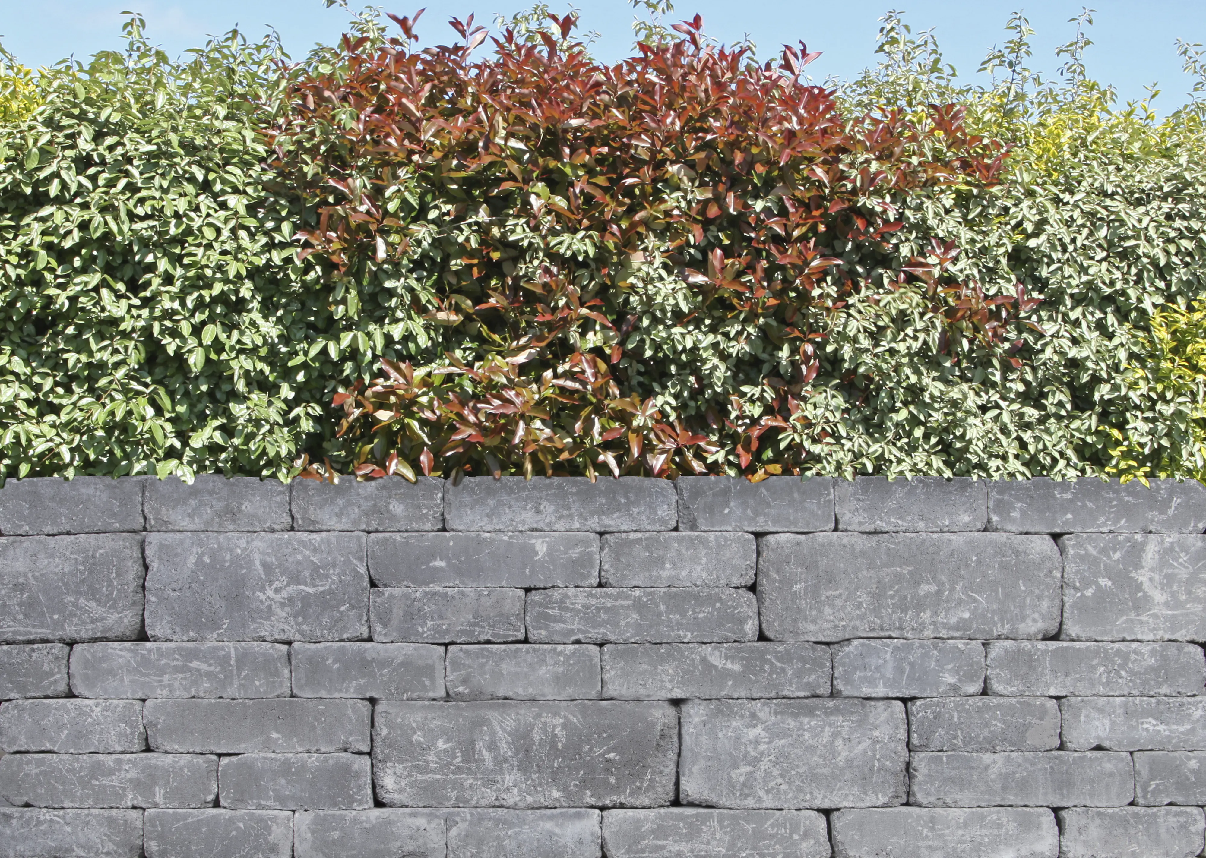 EHL Mauerstein Verona Antik 20 x 20 x 14 cm anthrazit