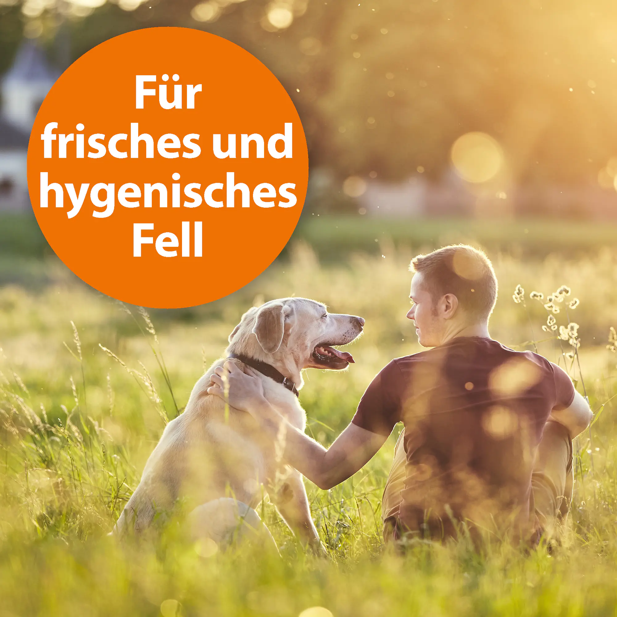 ARDAP Anti–Floh Shampoo für Hunde 250 ml ARDAP Anti–Floh Shampoo für Hunde 250 ml
