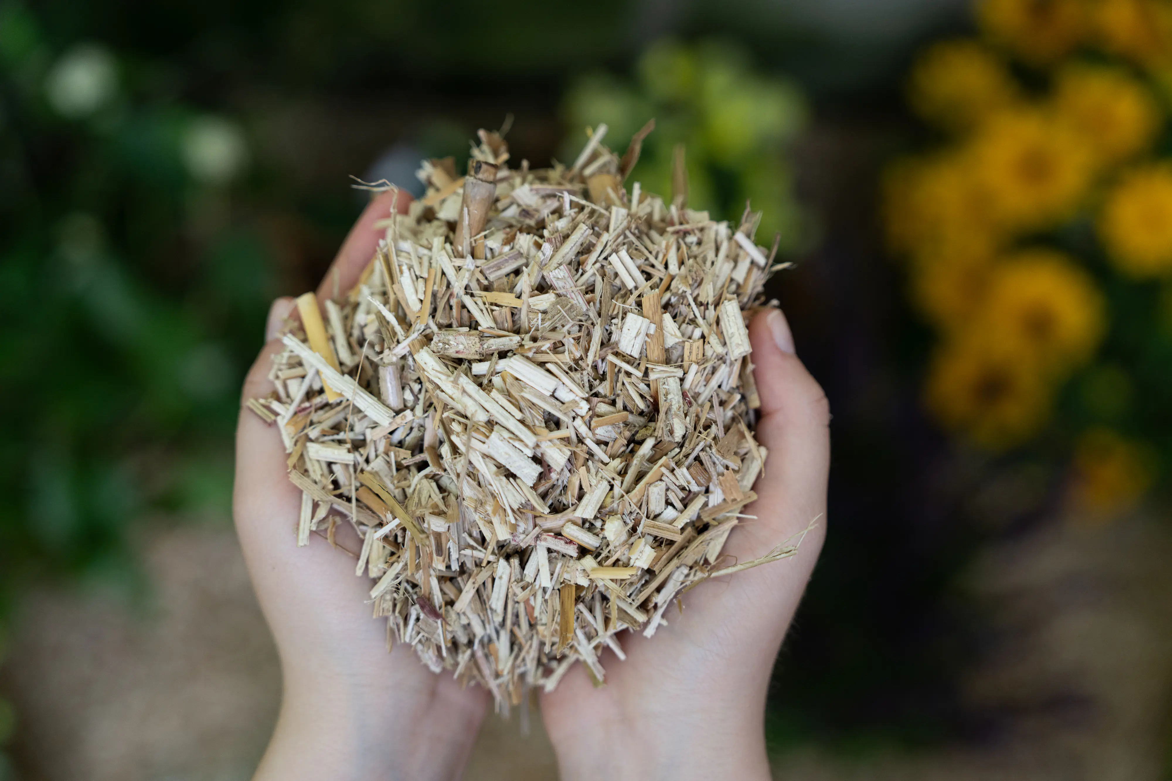 Floragard natürlicher Unkrautschutz Miscanthus Mulch 125 L Floragard natürlicher Unkrautschutz Miscanthus Mulch 125 L