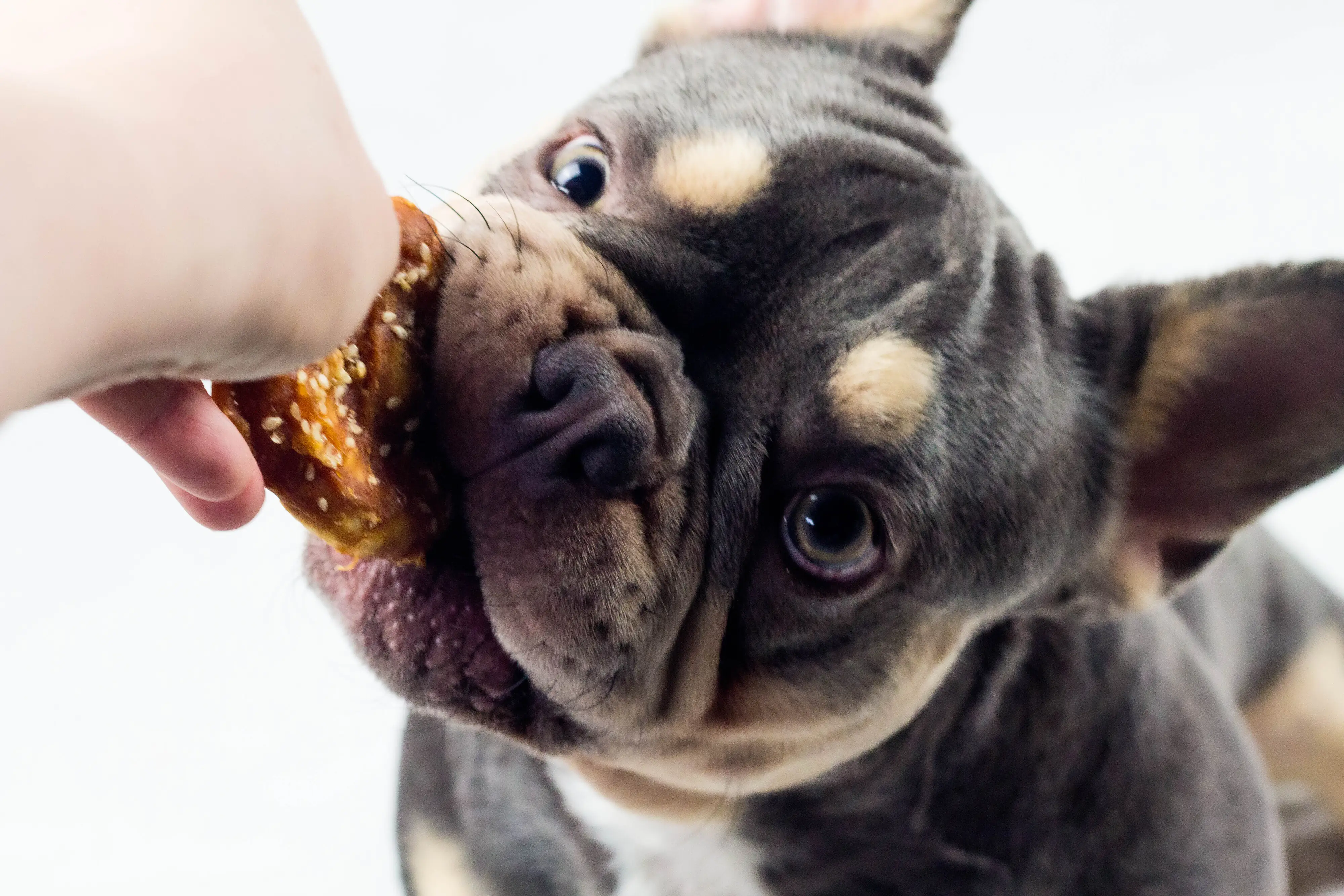 Nobby StarSnack Barbecue Chicken Pretzel Hundesnack 100 g