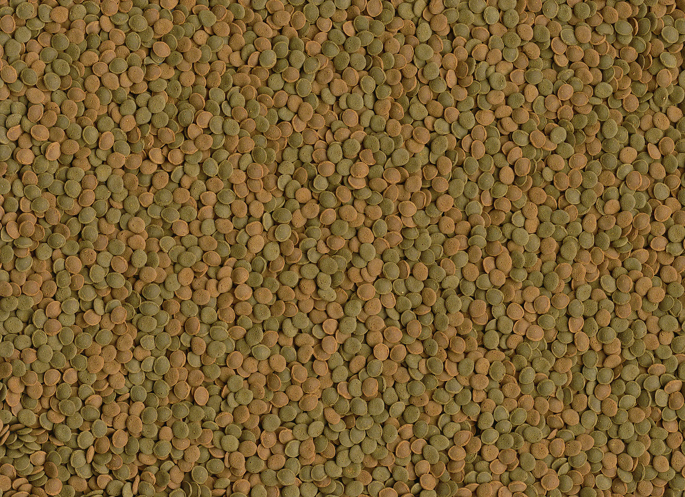 Tetra Wafer Mini Mix 100 ml