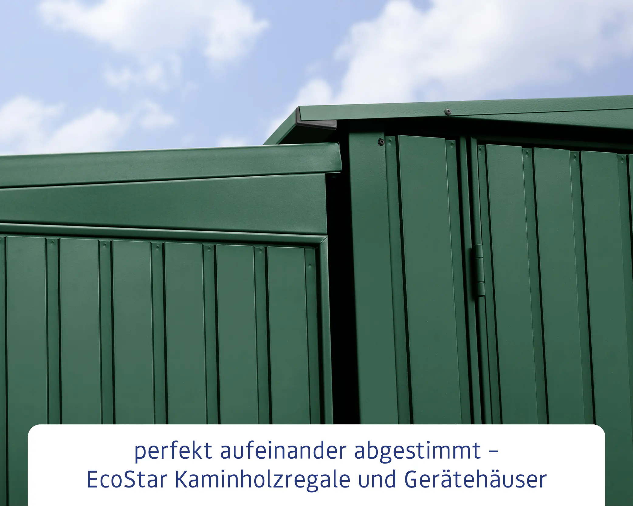 Ecostar Kaminholzregal Trend-V Typ 1, moosgrün, mit Verstrebung