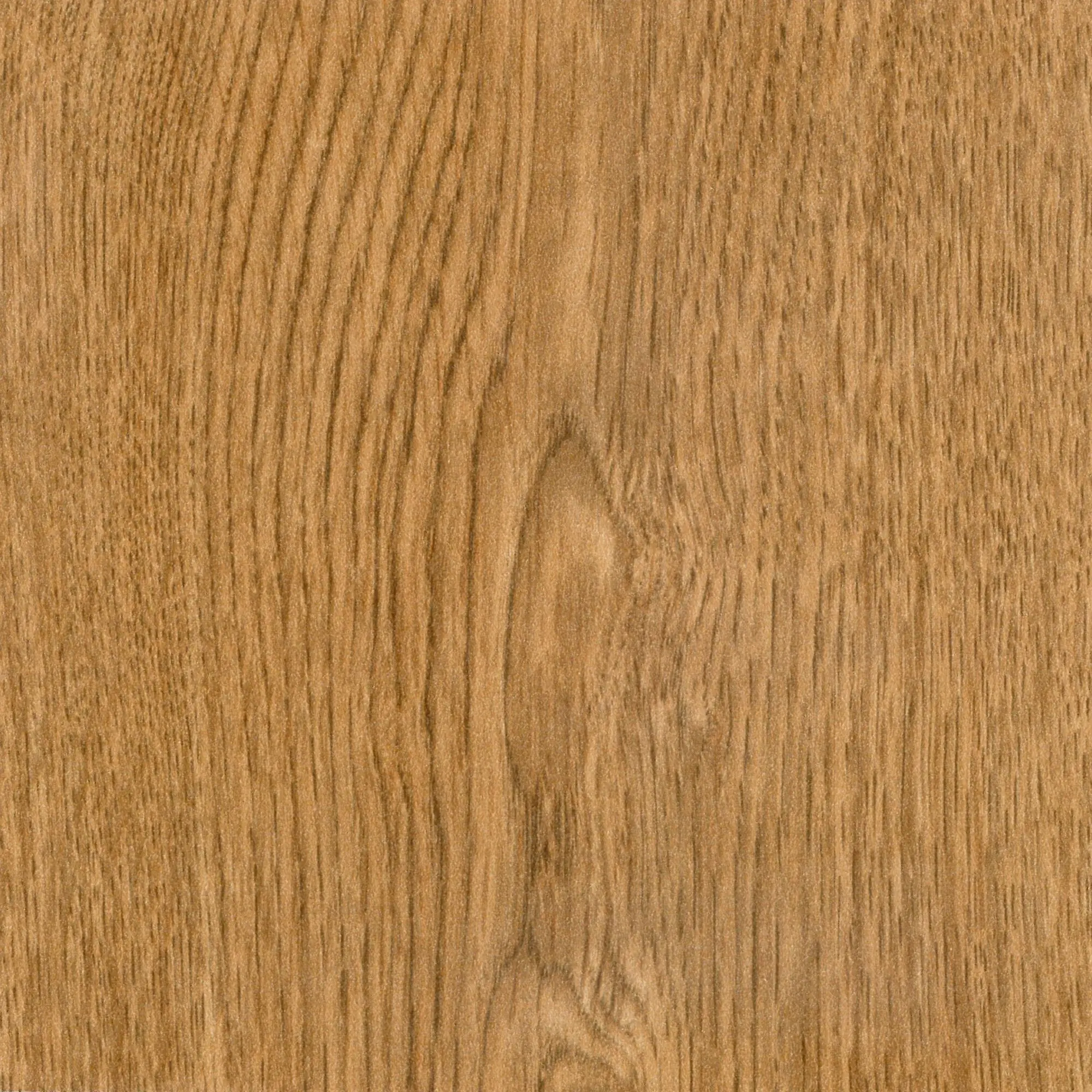 Neuhofer Fußleiste 240 cm x 58 x 19 mm magnolia